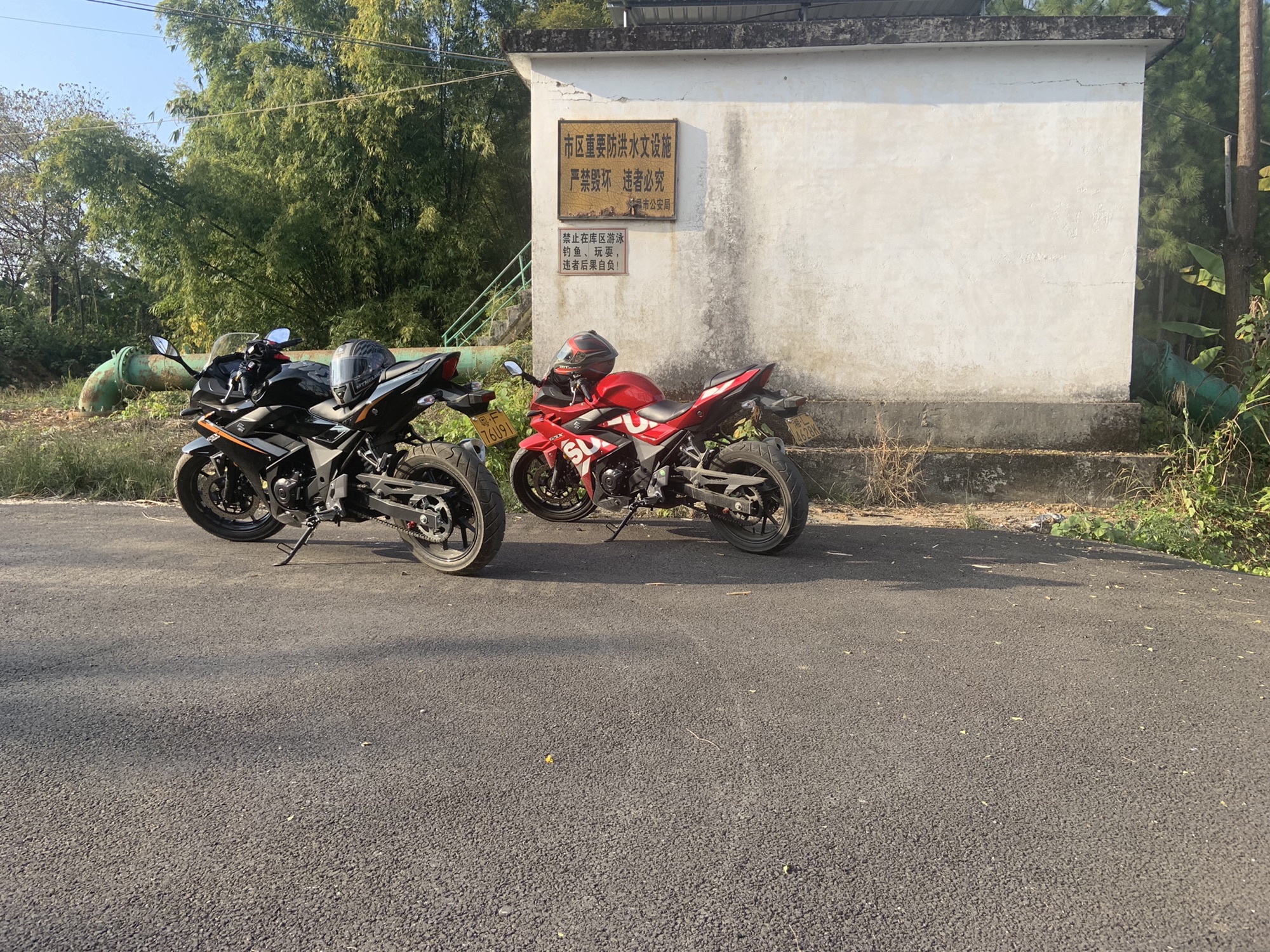 樟树王公园旅行图片 3