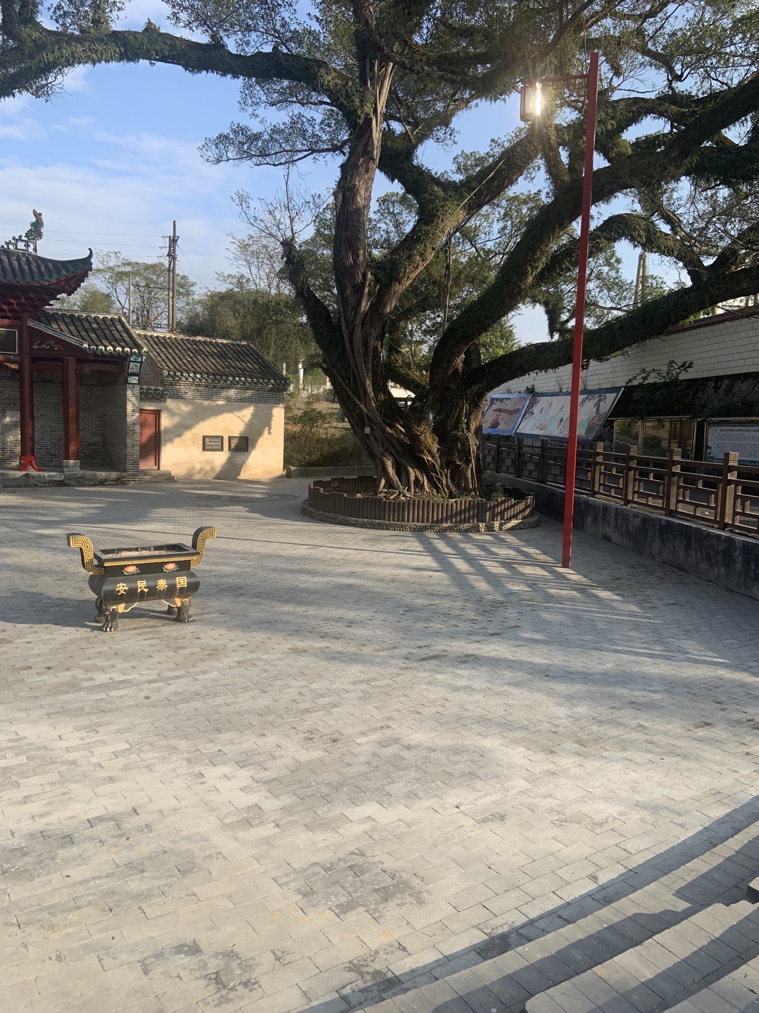 樟树王公园旅行图片 2