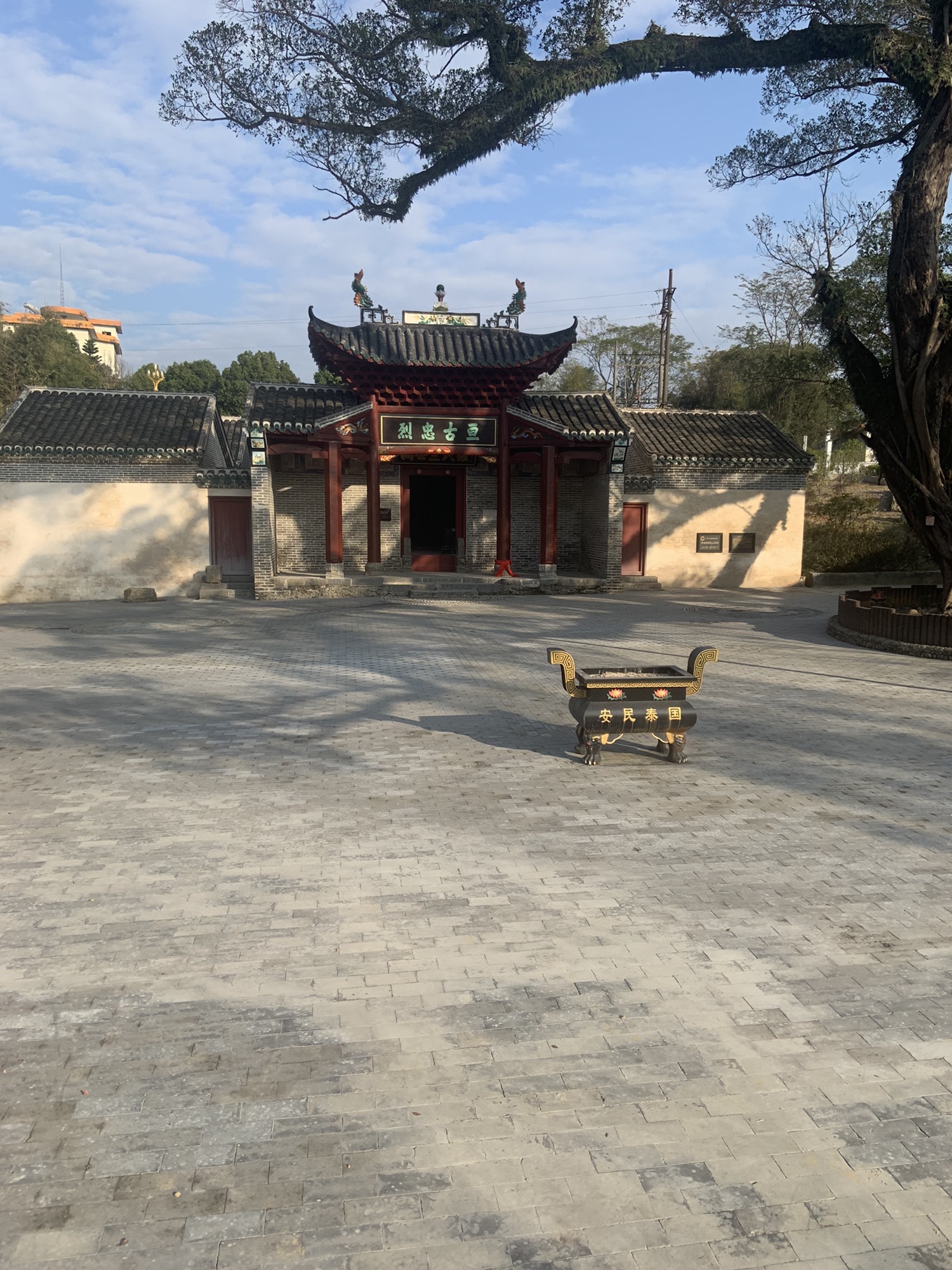 樟树王公园旅行图片 1