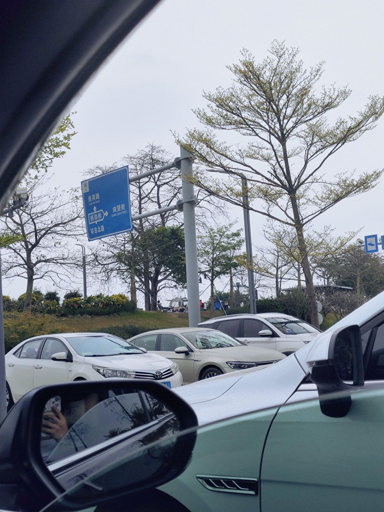 江门人才岛潮头中央公园旅行图片 2