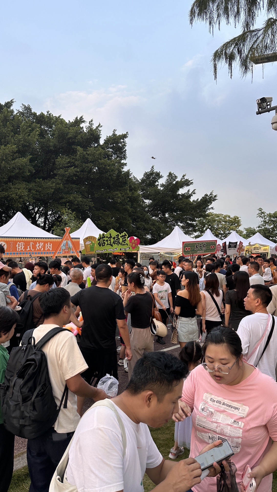江门人才岛潮头中央公园旅行图片 3