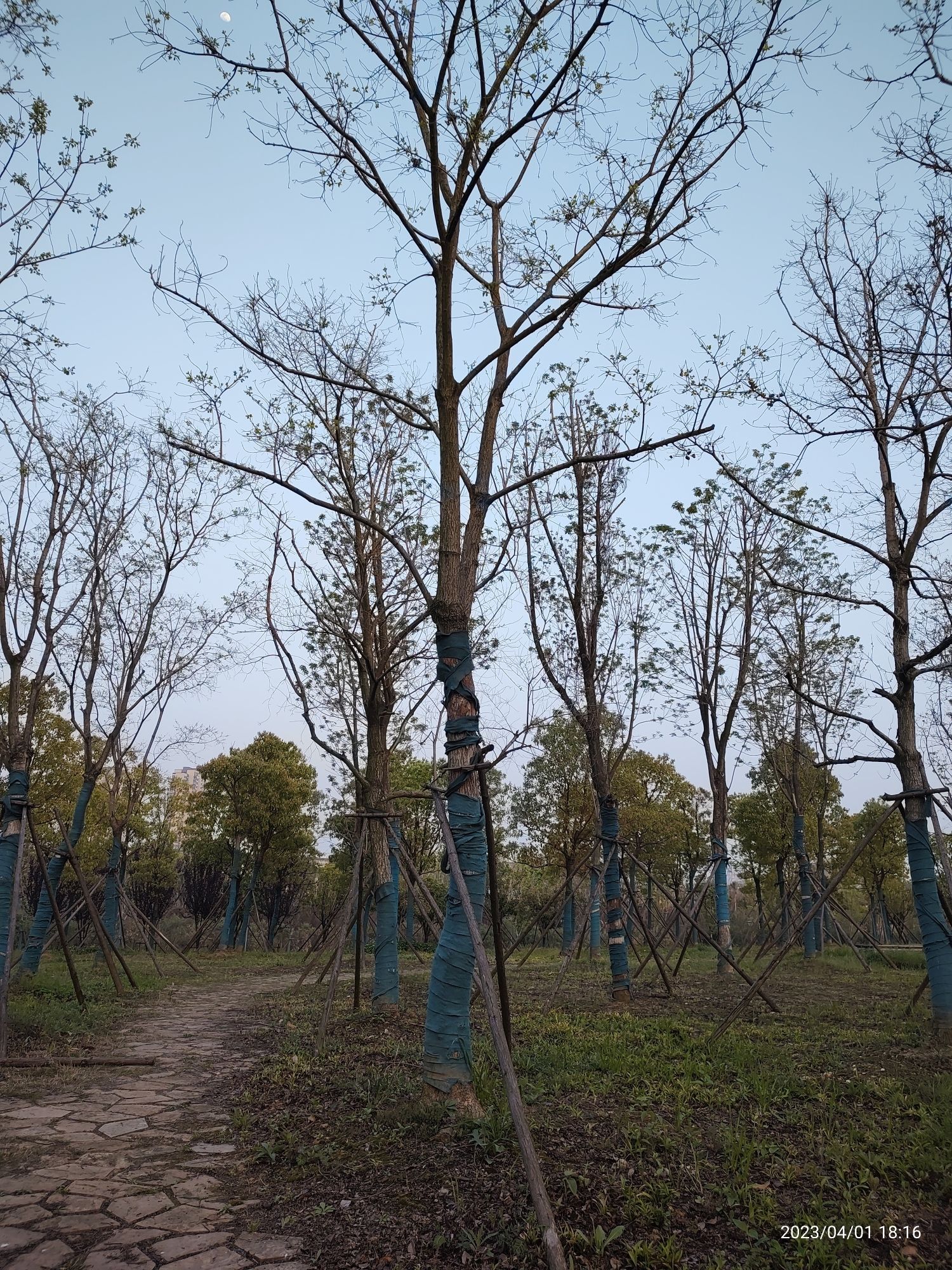 烽火游园旅行图片 2