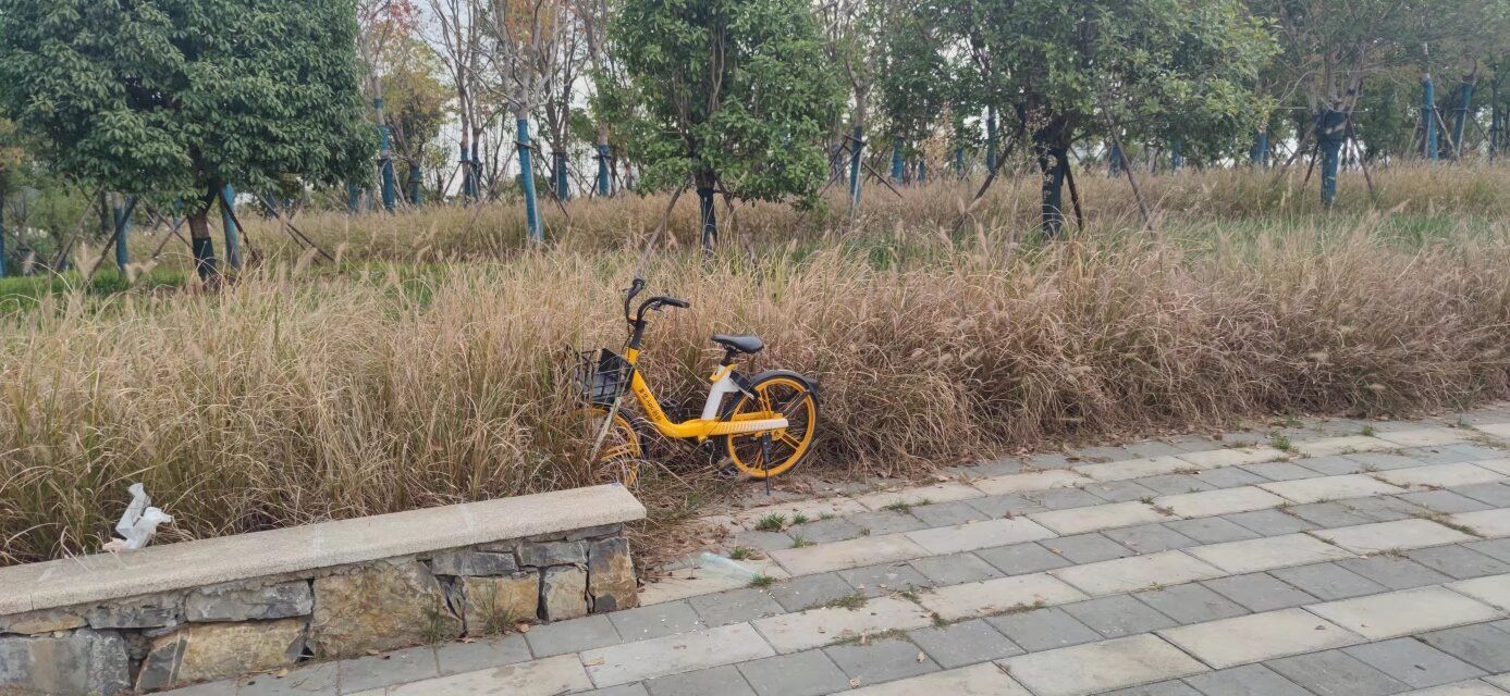 烽火游园旅行图片 3