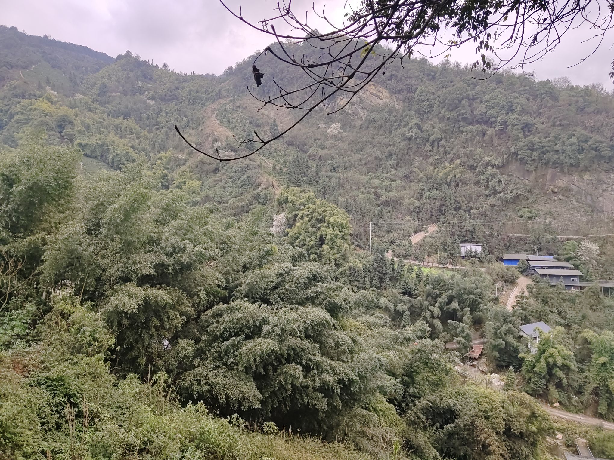 云峰茶谷飞拉达·攀岩点旅行图片 1