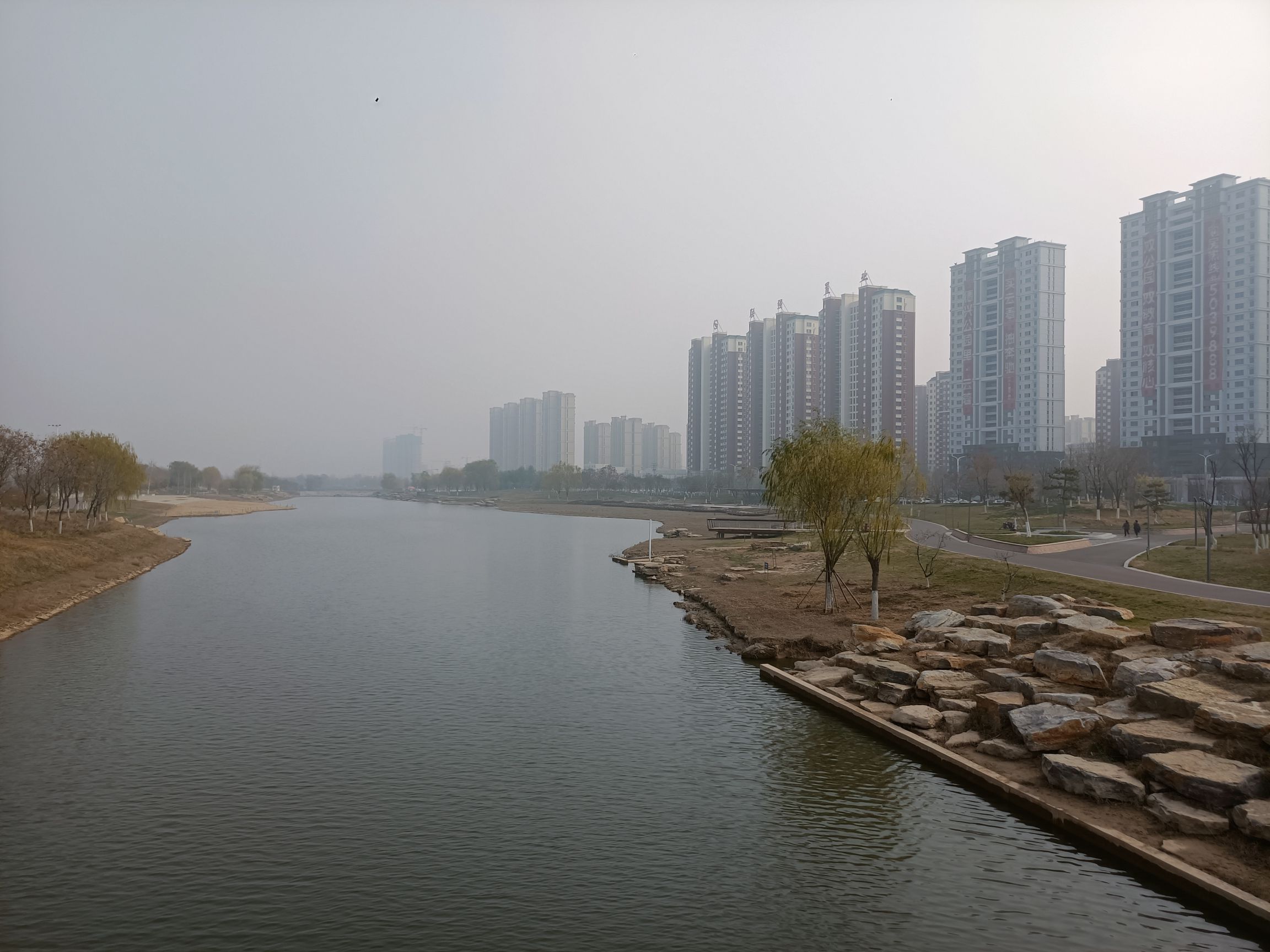 宁津新河公园旅行图片 1
