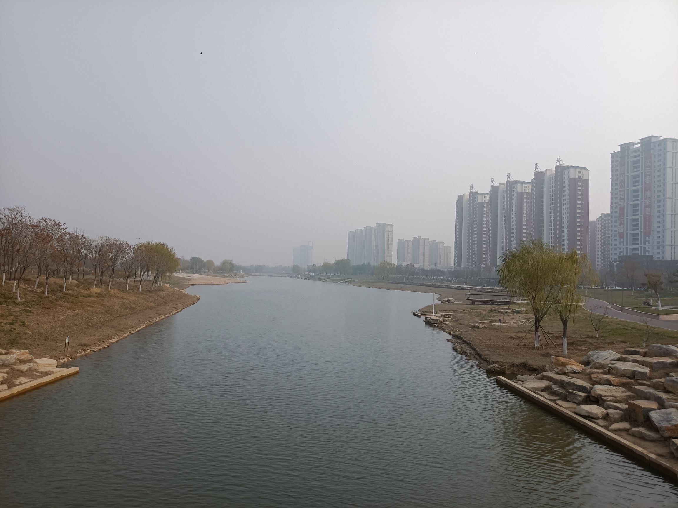 宁津新河公园旅行图片 2