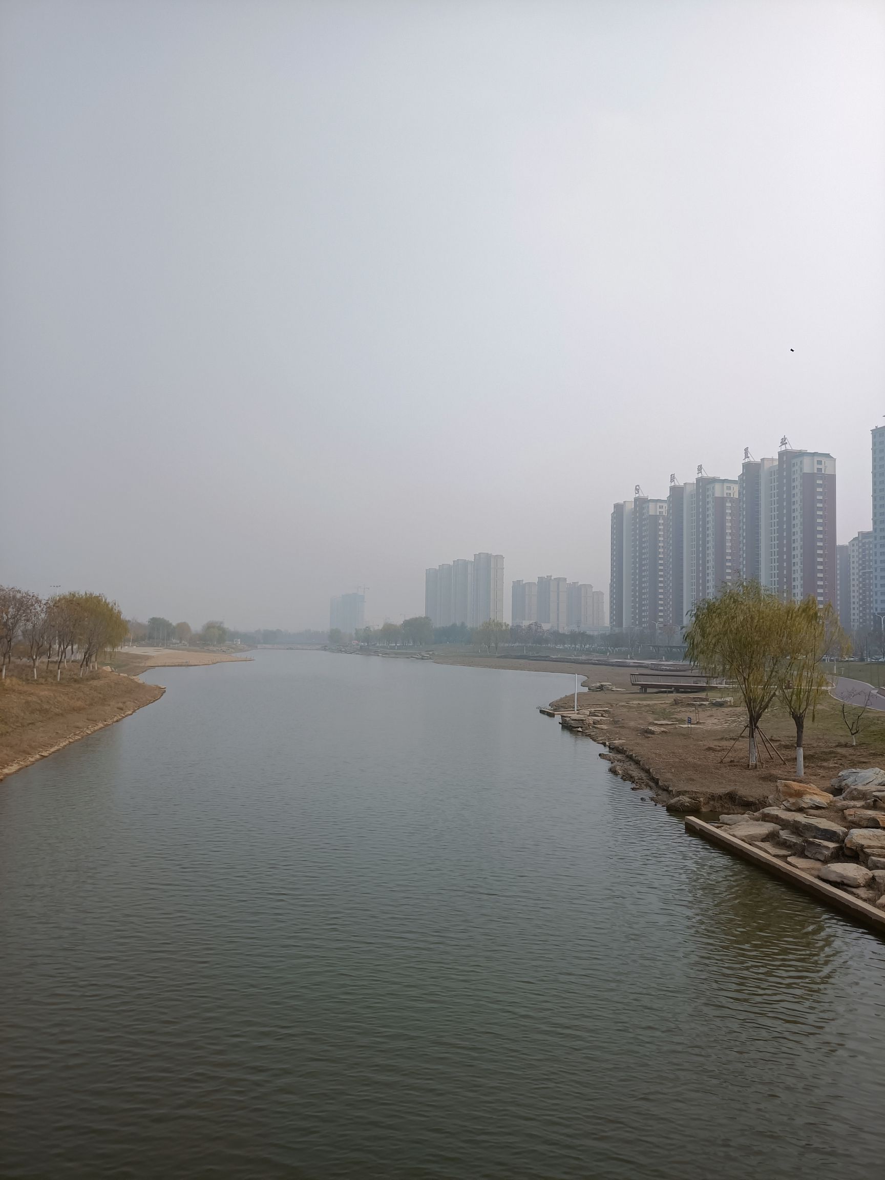 宁津新河公园旅行图片 3