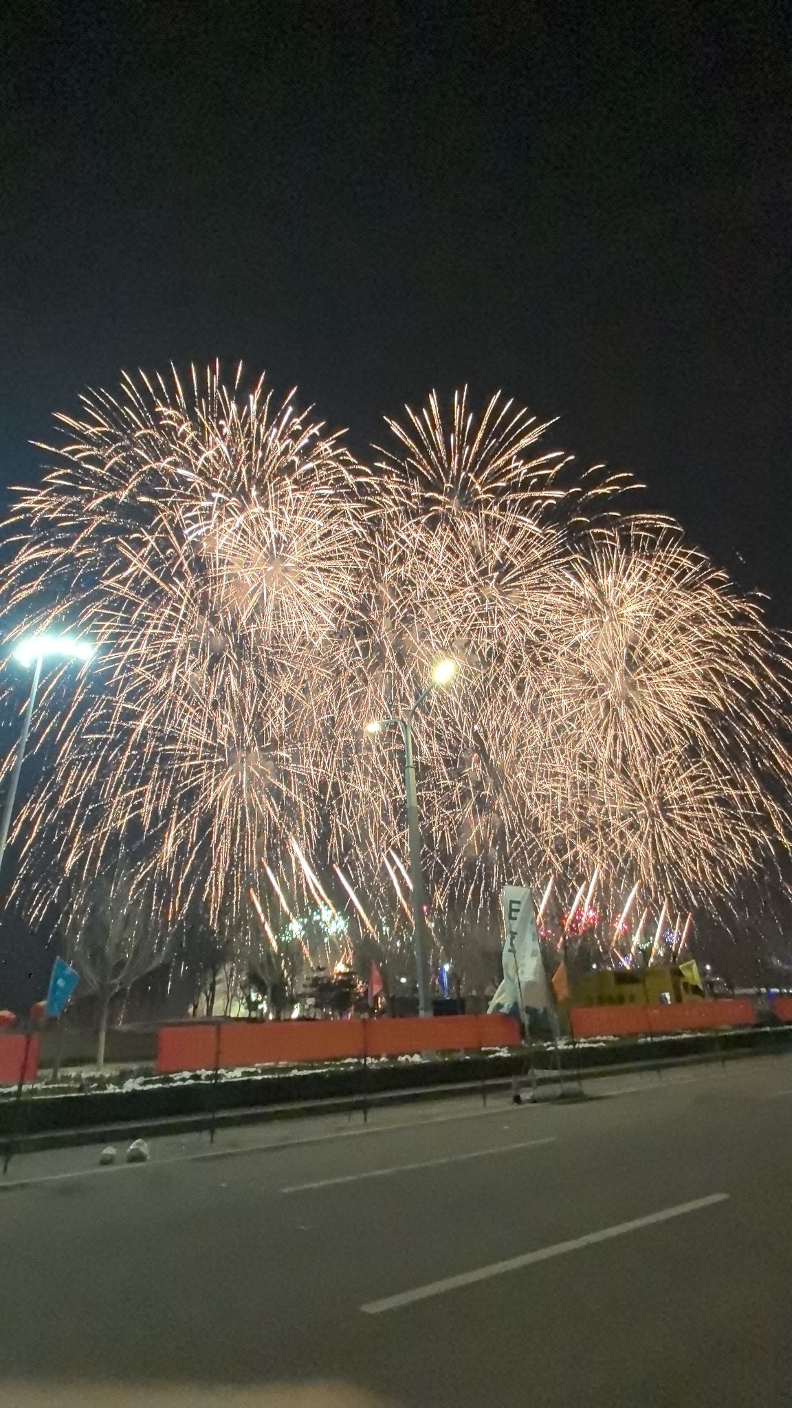 宁津新河公园旅行图片 3
