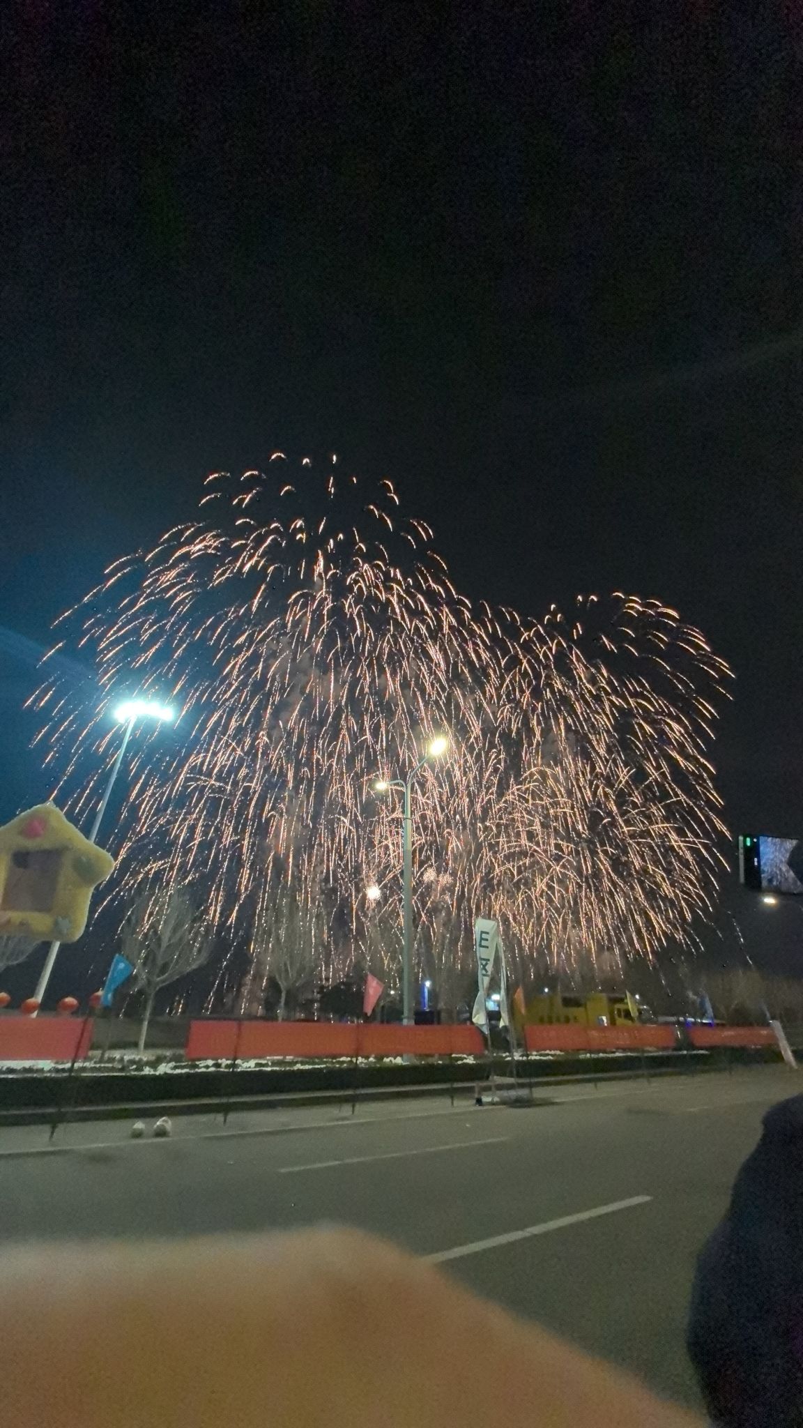 宁津新河公园旅行图片 2