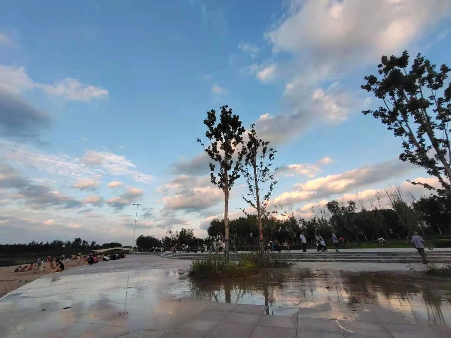 宁津新河公园旅行图片 2