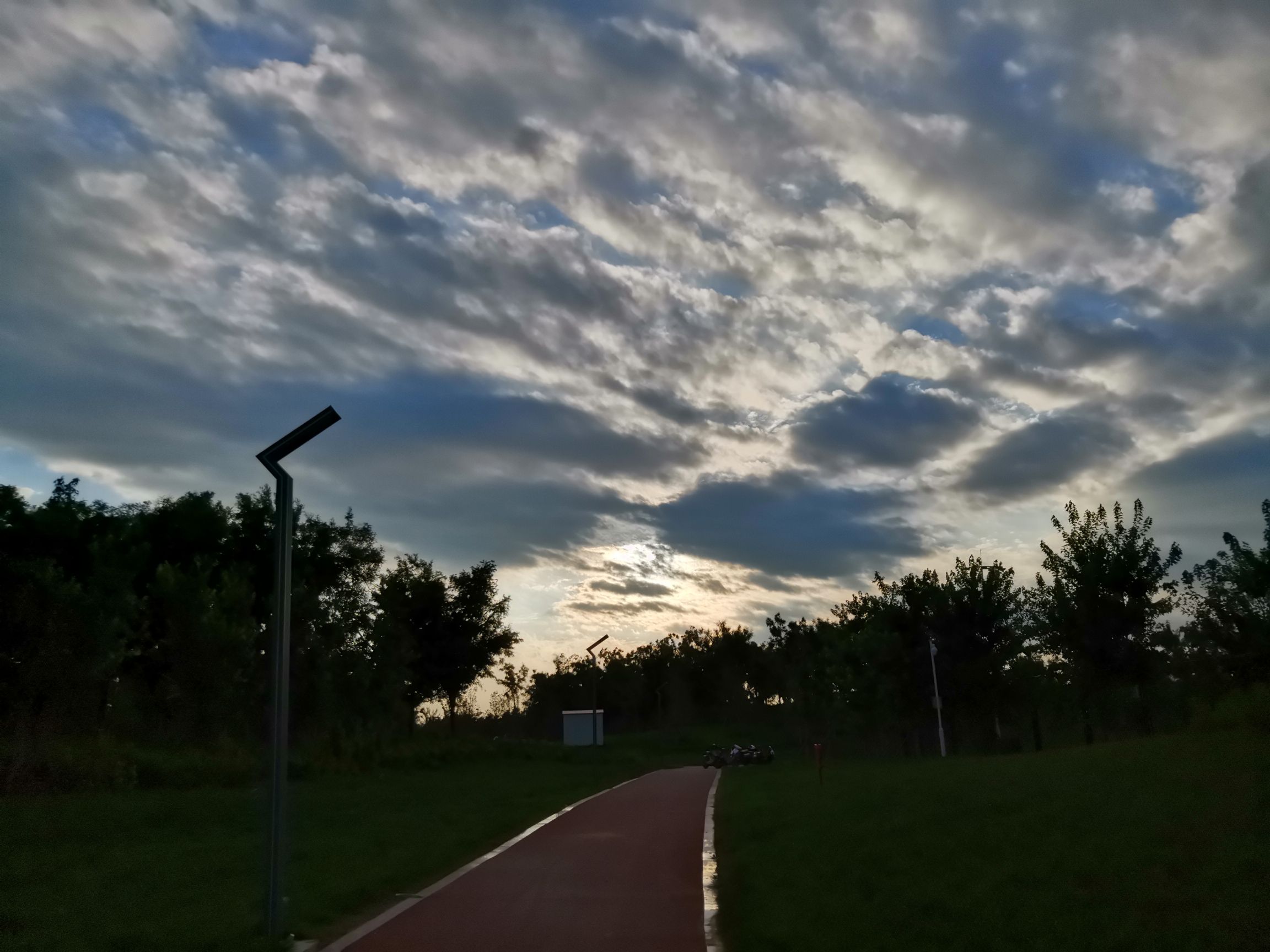 宁津新河公园旅行图片 3