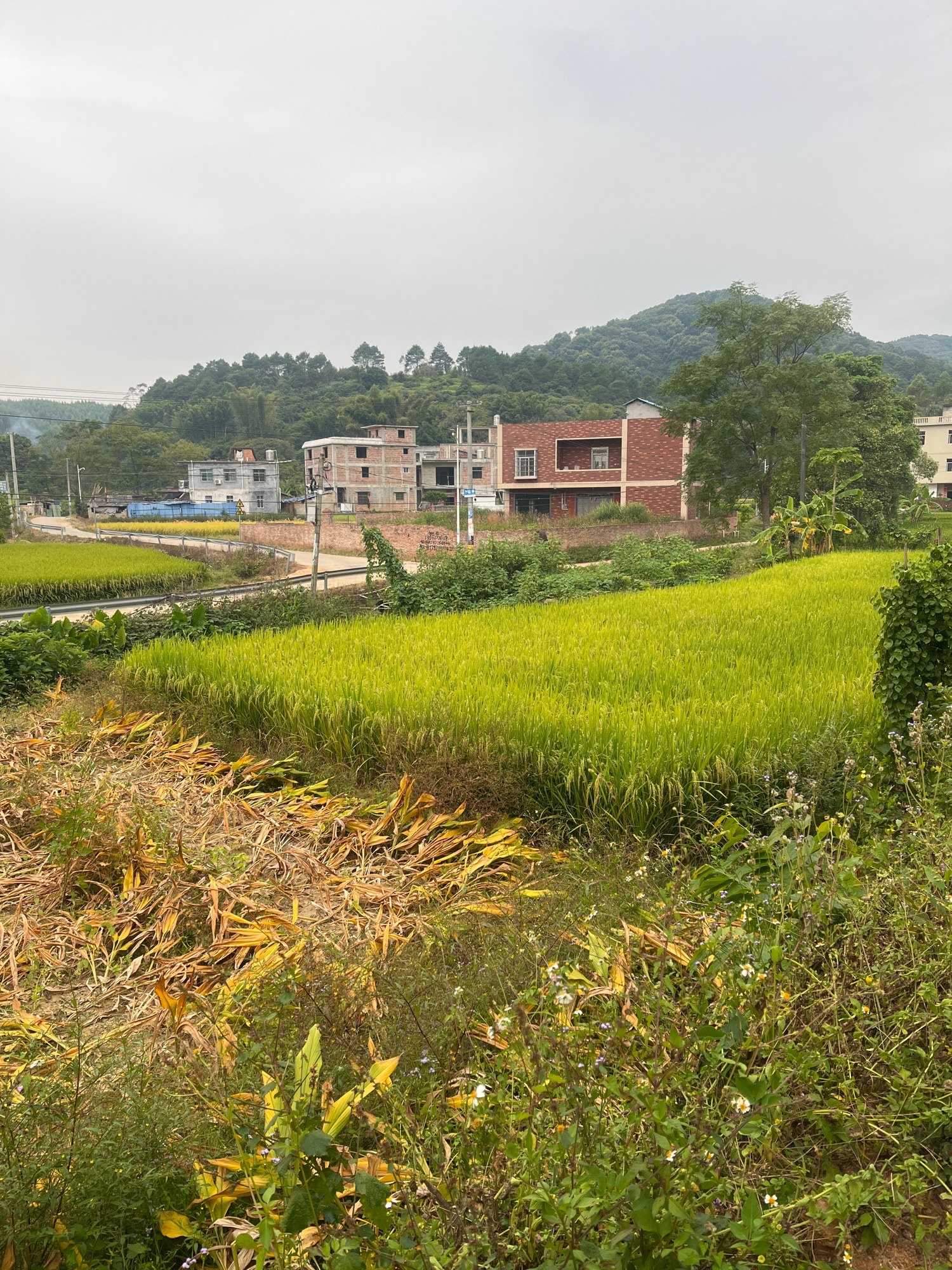 仙女湖旅行图片 2