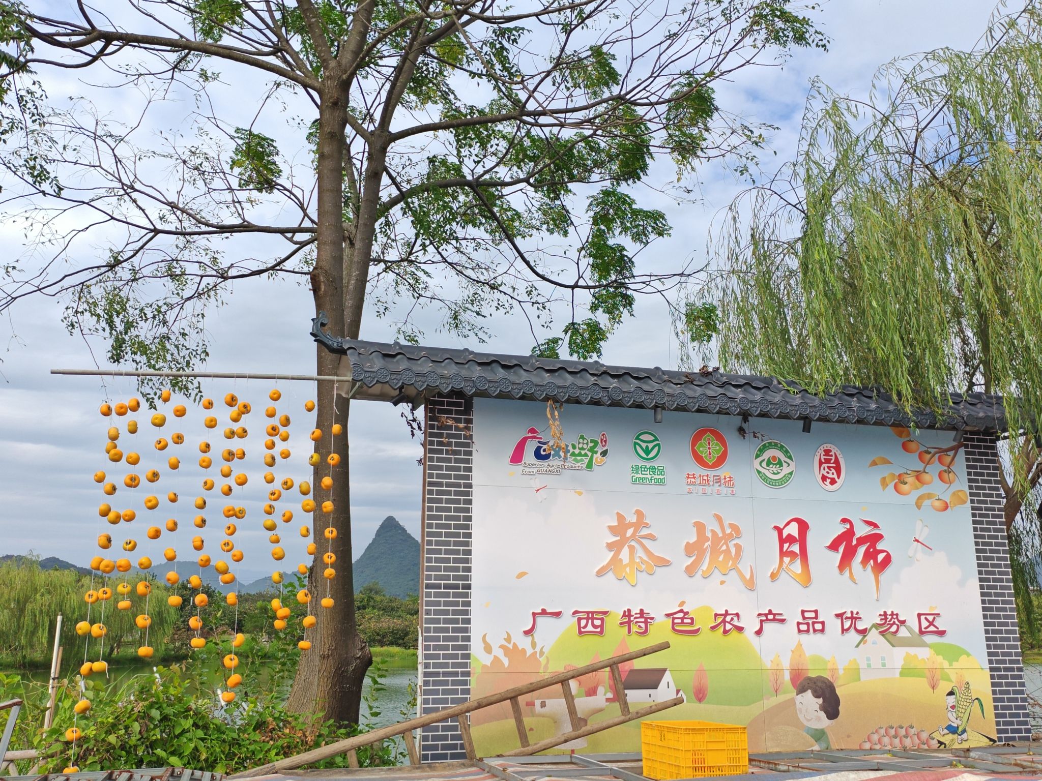 中国柿子博览园旅行图片 2