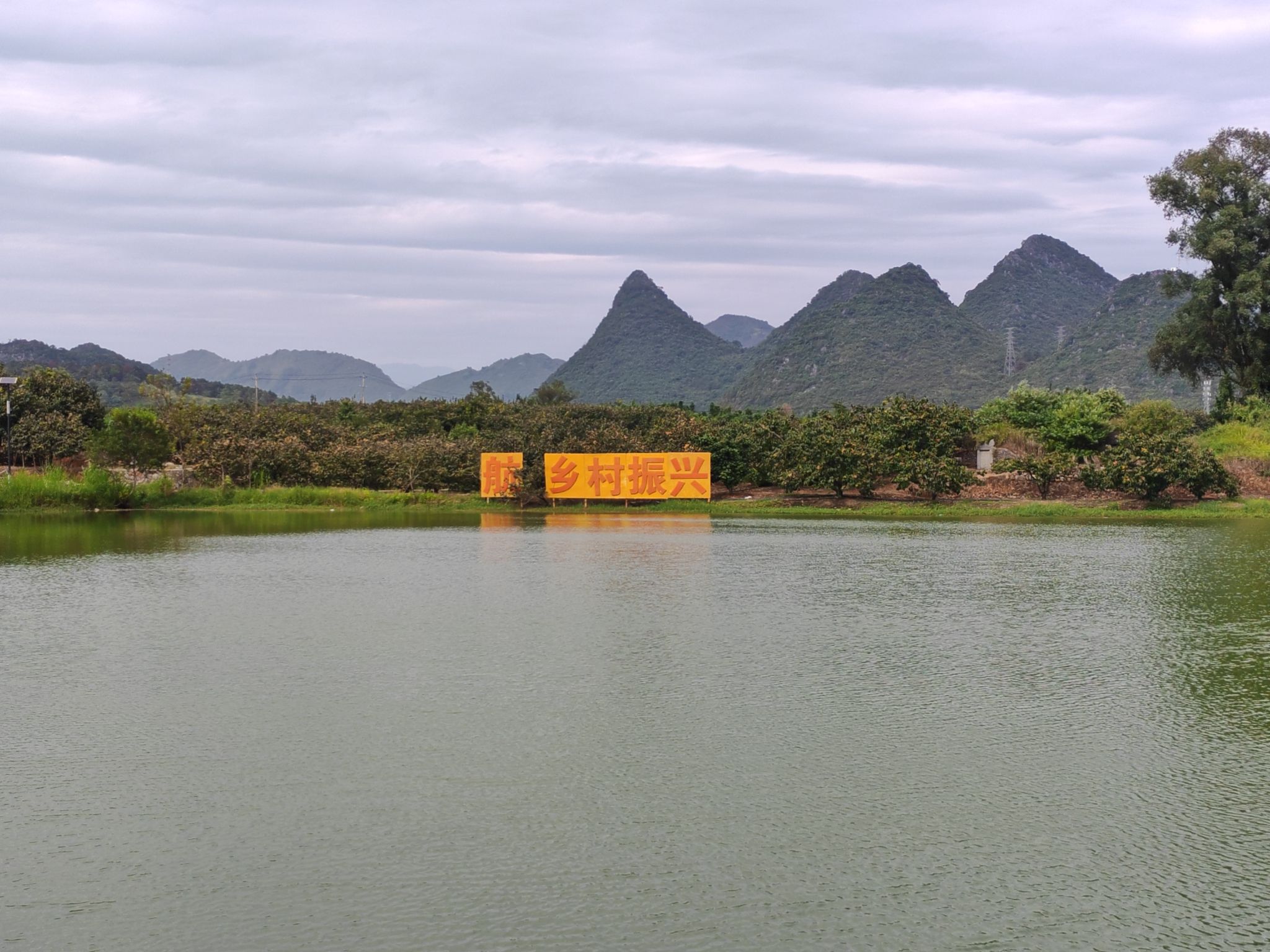 中国柿子博览园旅行图片 1