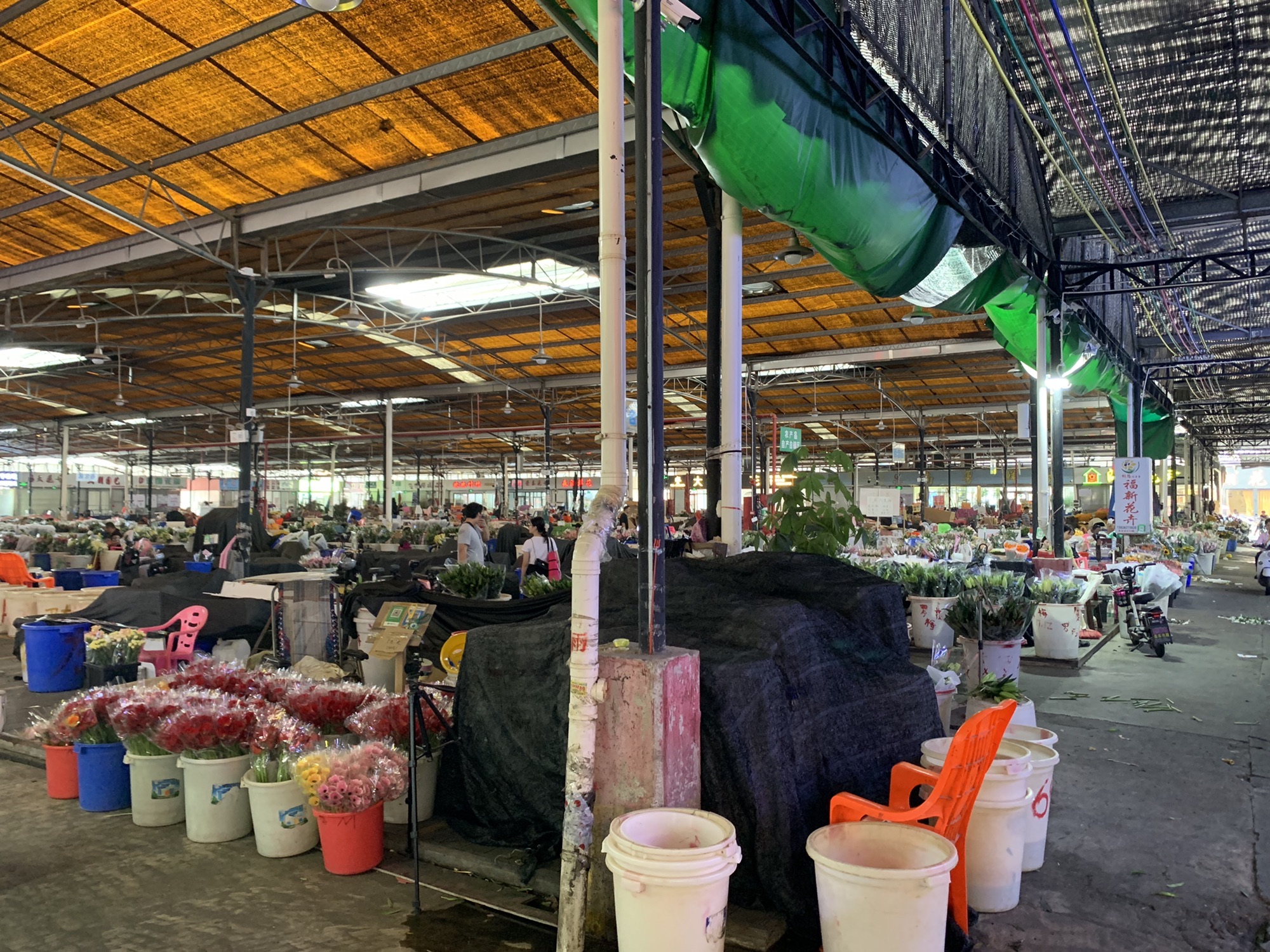 广州市岭南花卉市场A区