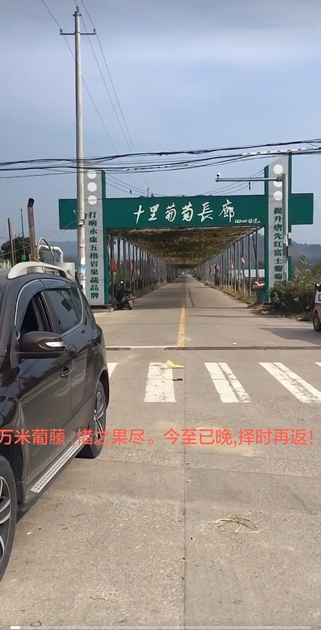 十里葡萄长廊