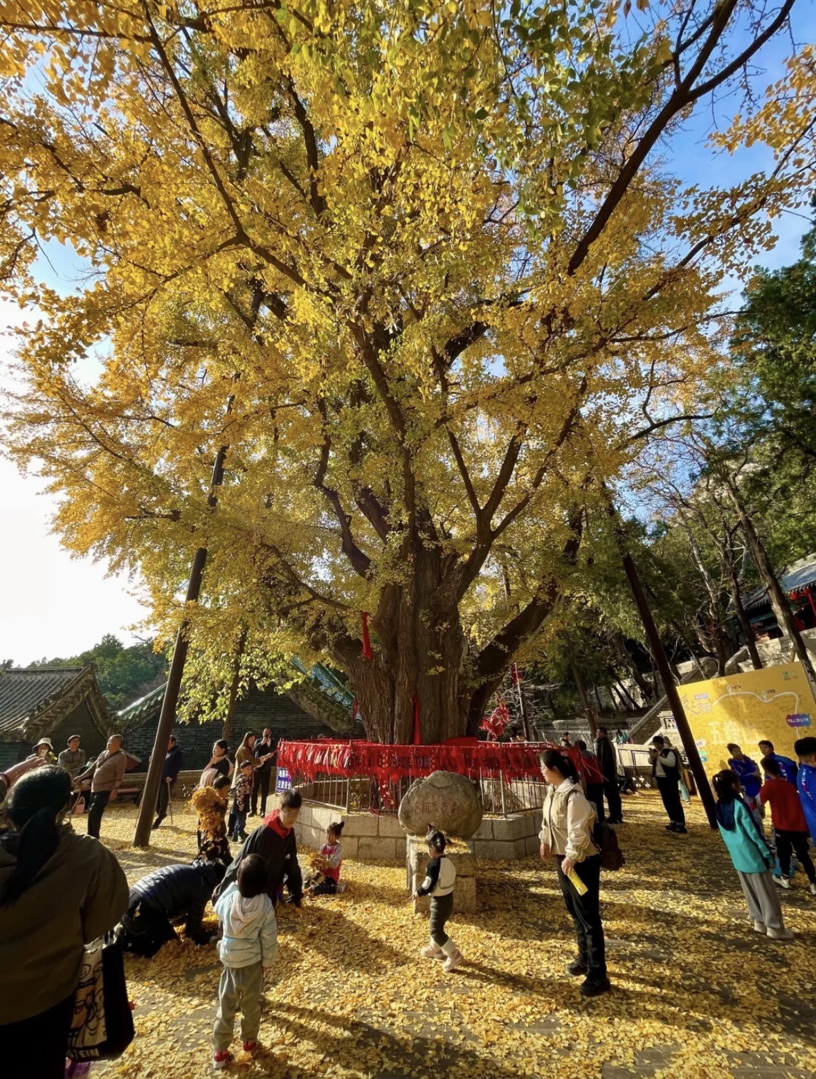 五峰山风景区旅行图片 1