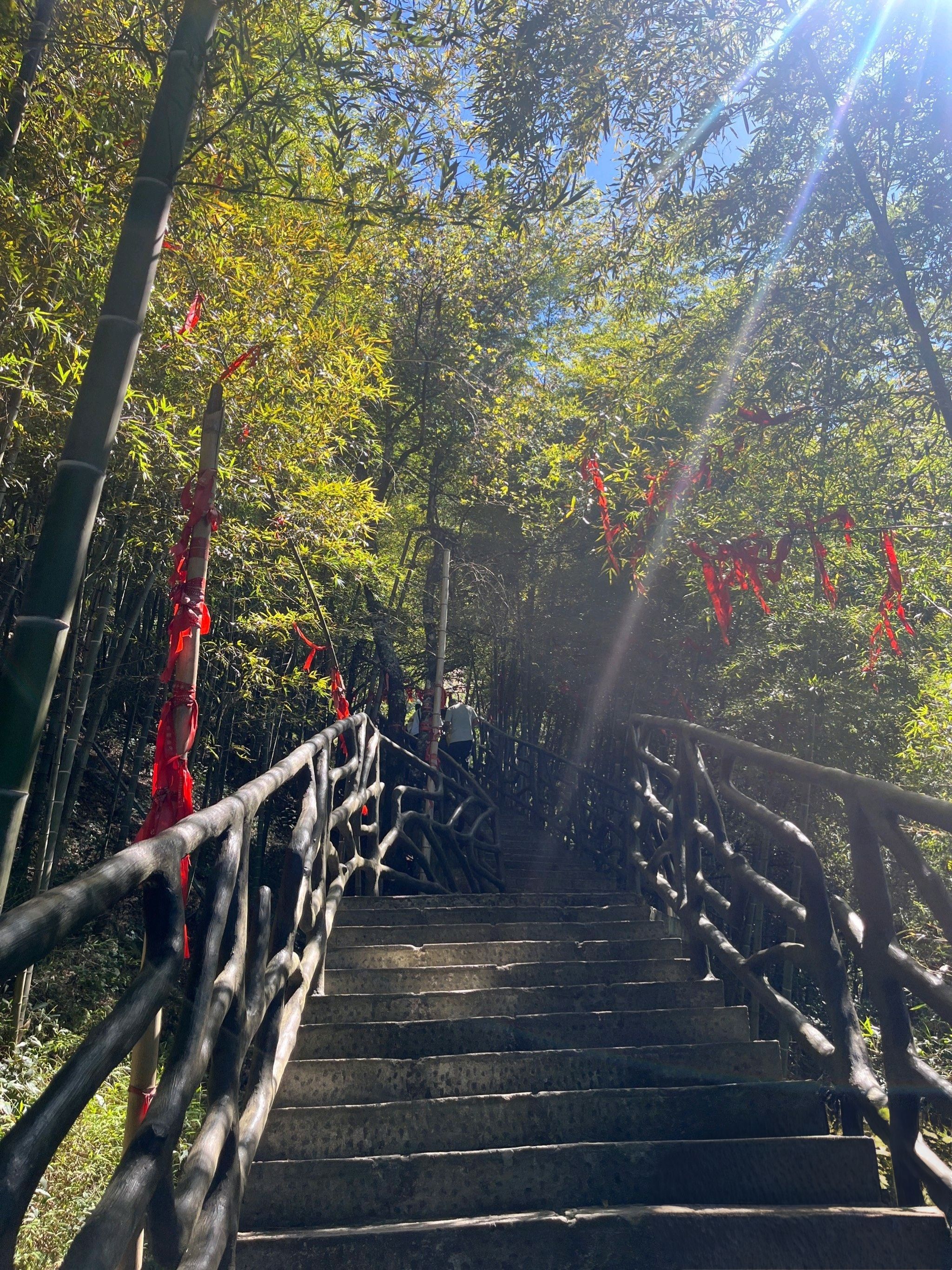 江西大华山蝶栖谷景区旅行图片 2