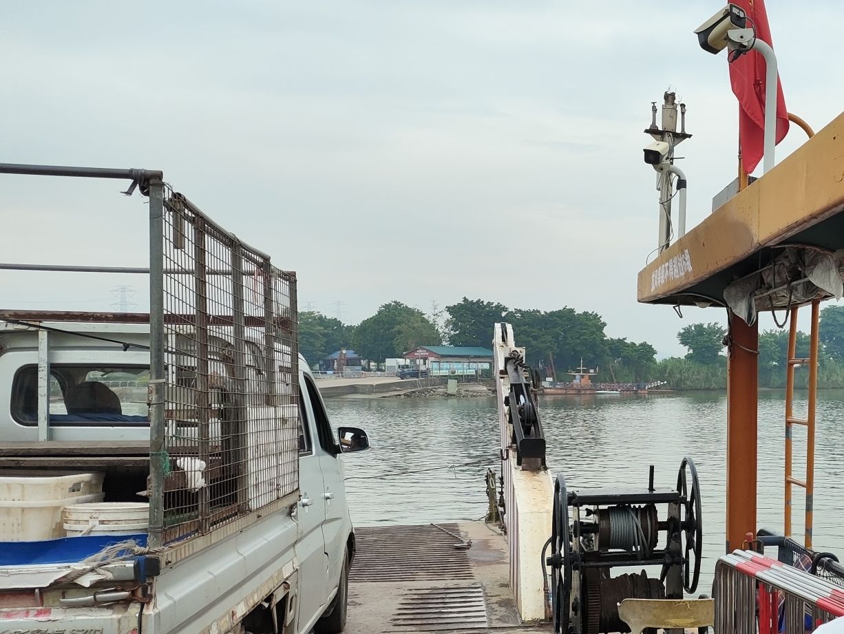 石板沙湿地公园旅行图片 3