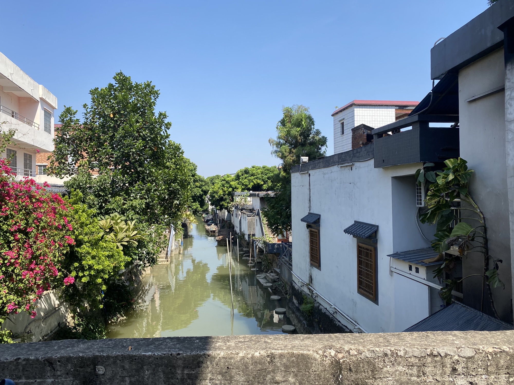 石板沙湿地公园旅行图片 1