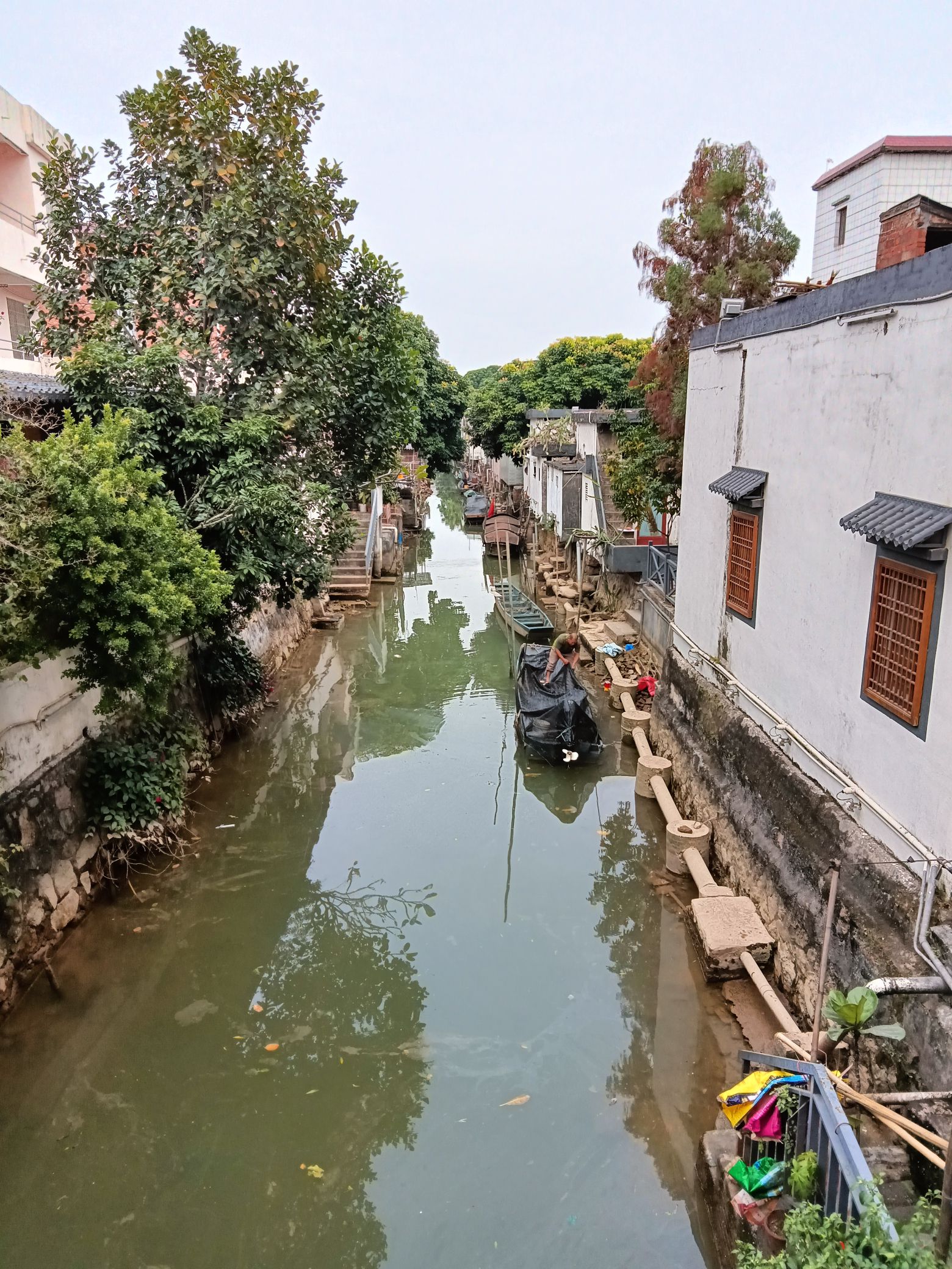 石板沙湿地公园旅行图片 3