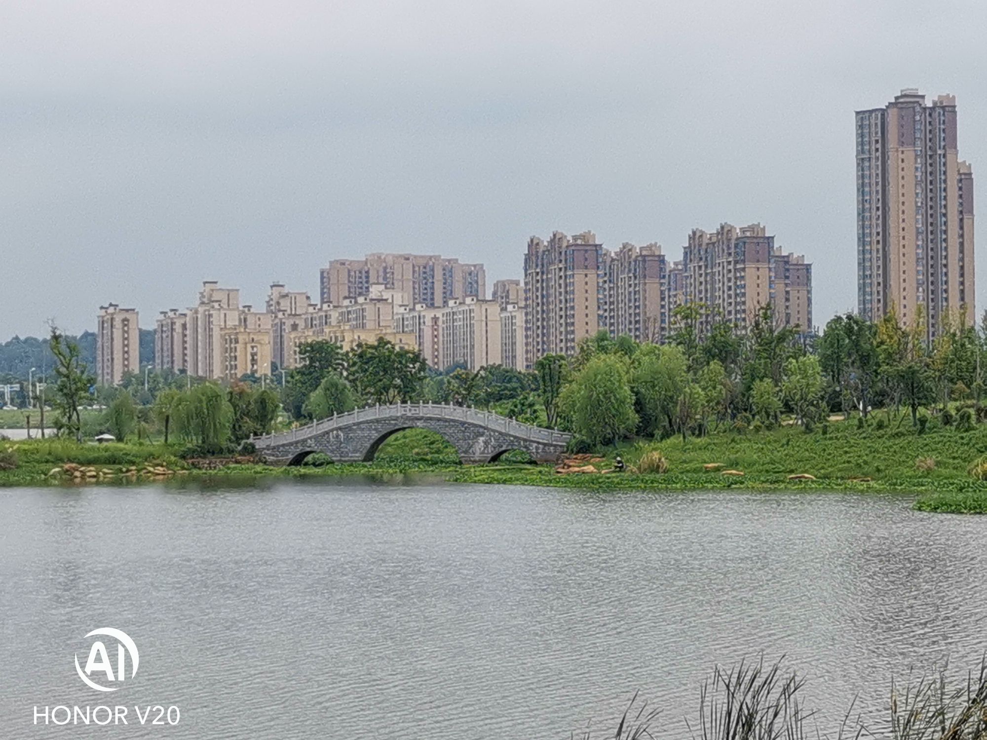 明照湖公园旅行图片 2