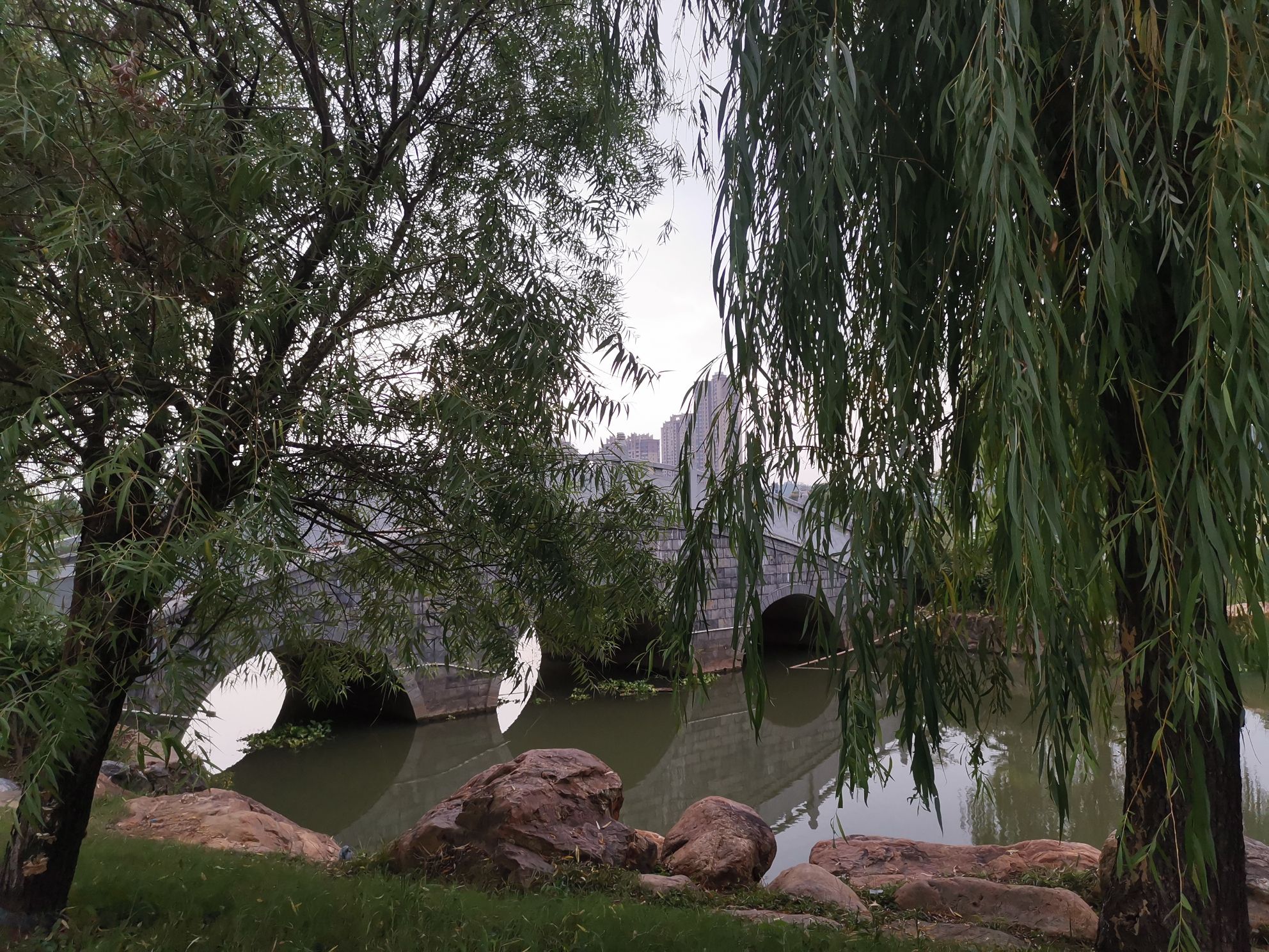 明照湖公园旅行图片 2