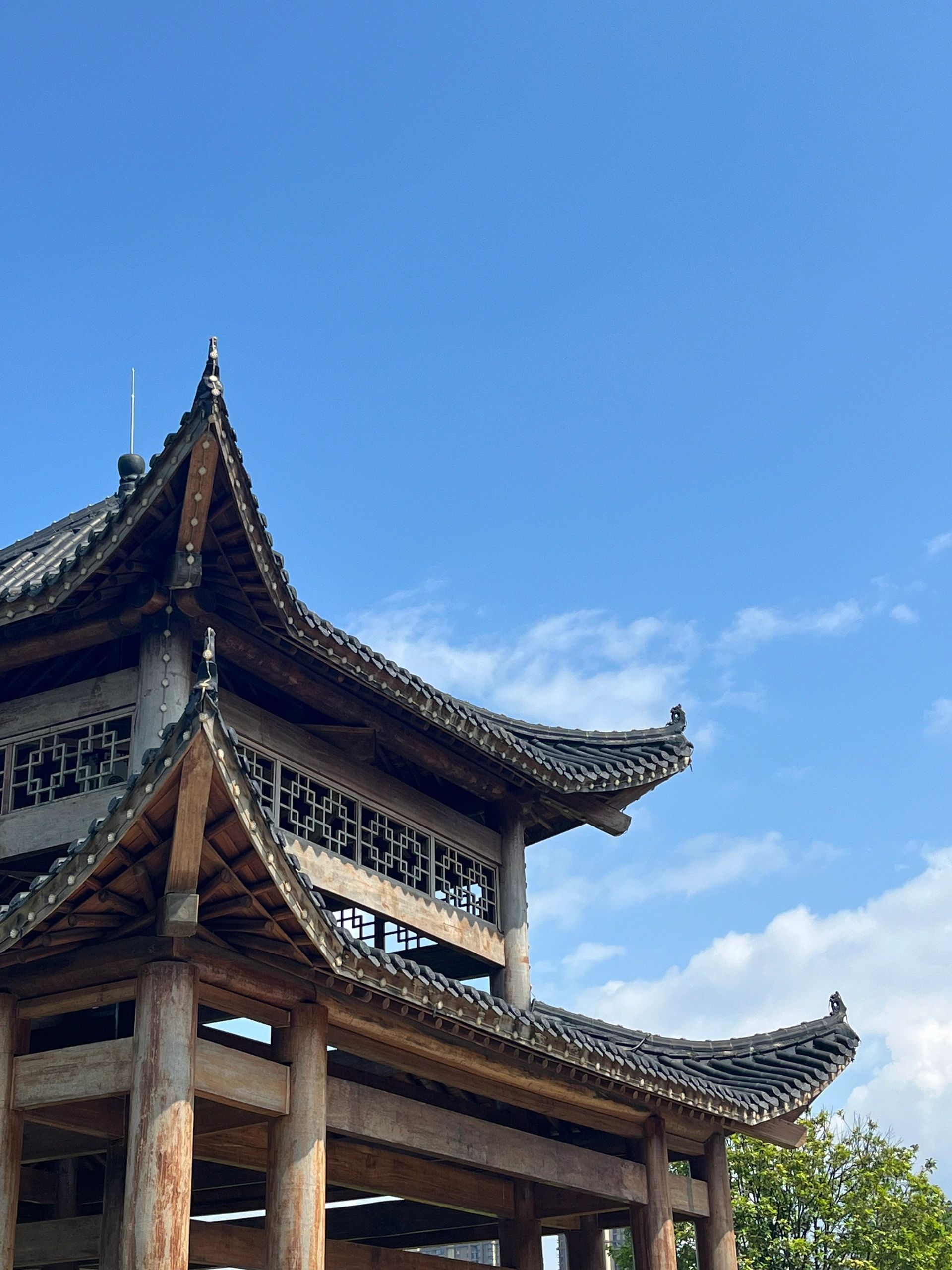 明照湖公园旅行图片