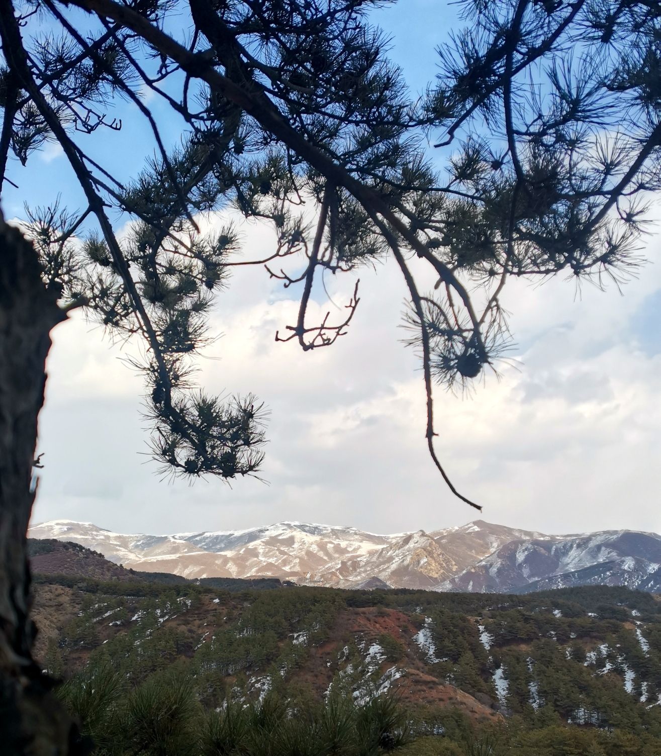 李占窑国家登山步道旅行图片 3