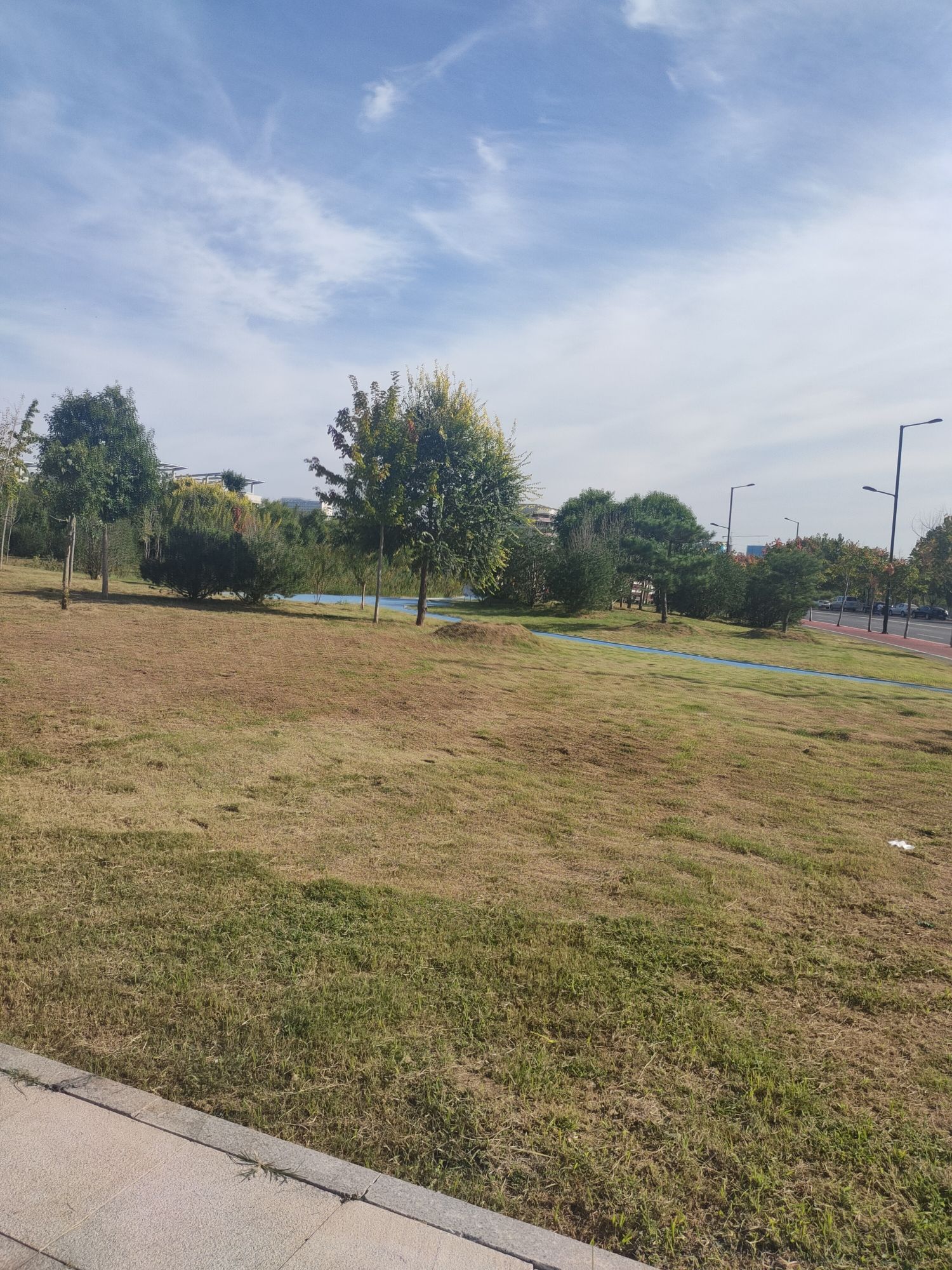 齐河县禁毒主题公园旅行图片 2