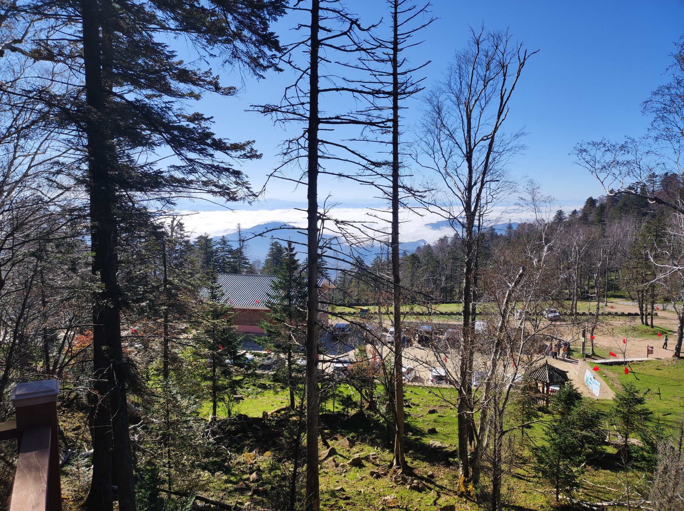 老秃顶草原景区(暂停开放)旅行图片 2