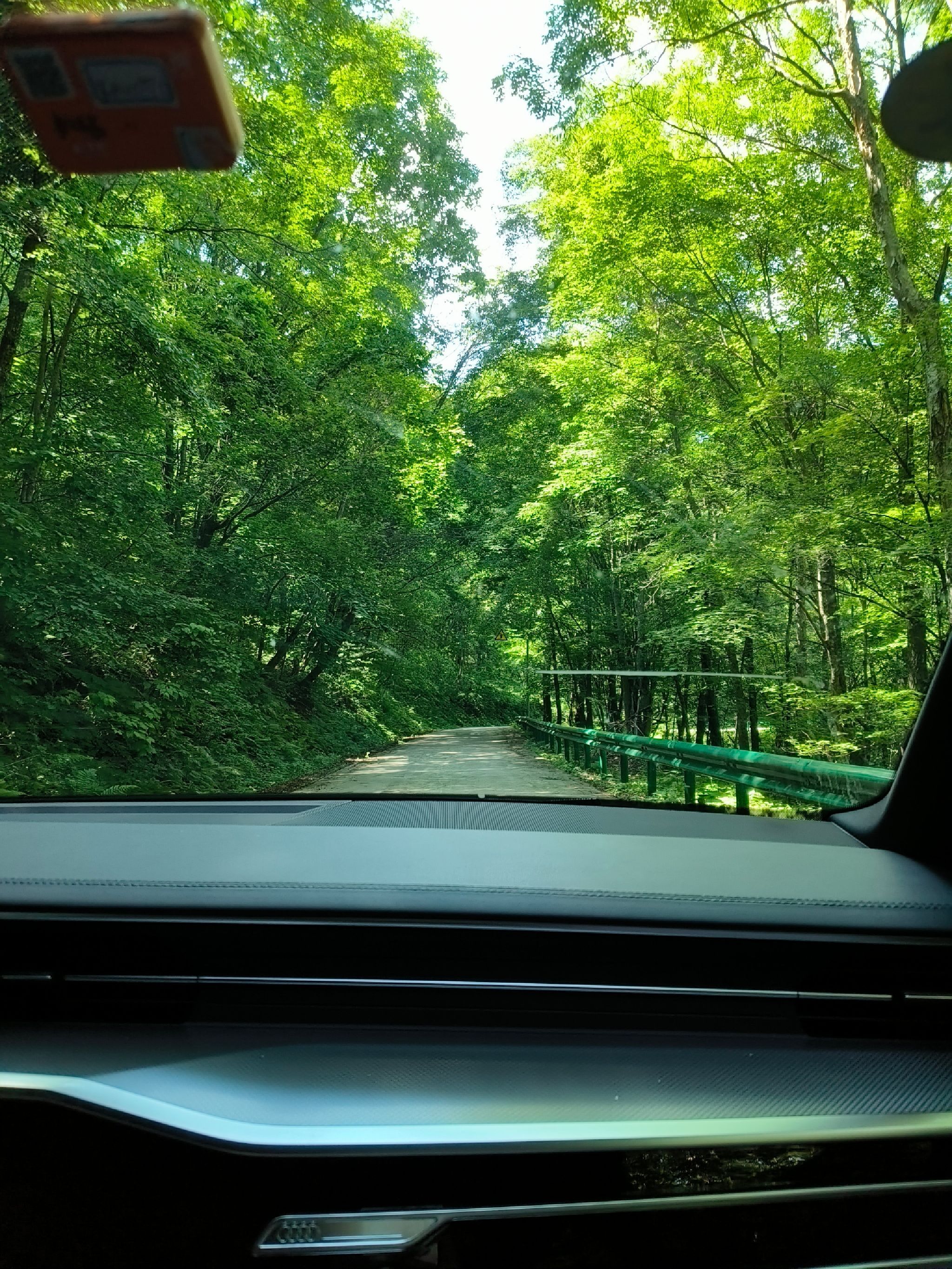 老秃顶草原景区(暂停开放)旅行图片 1