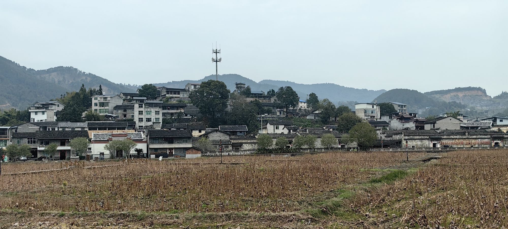 元坑古镇旅行图片 3