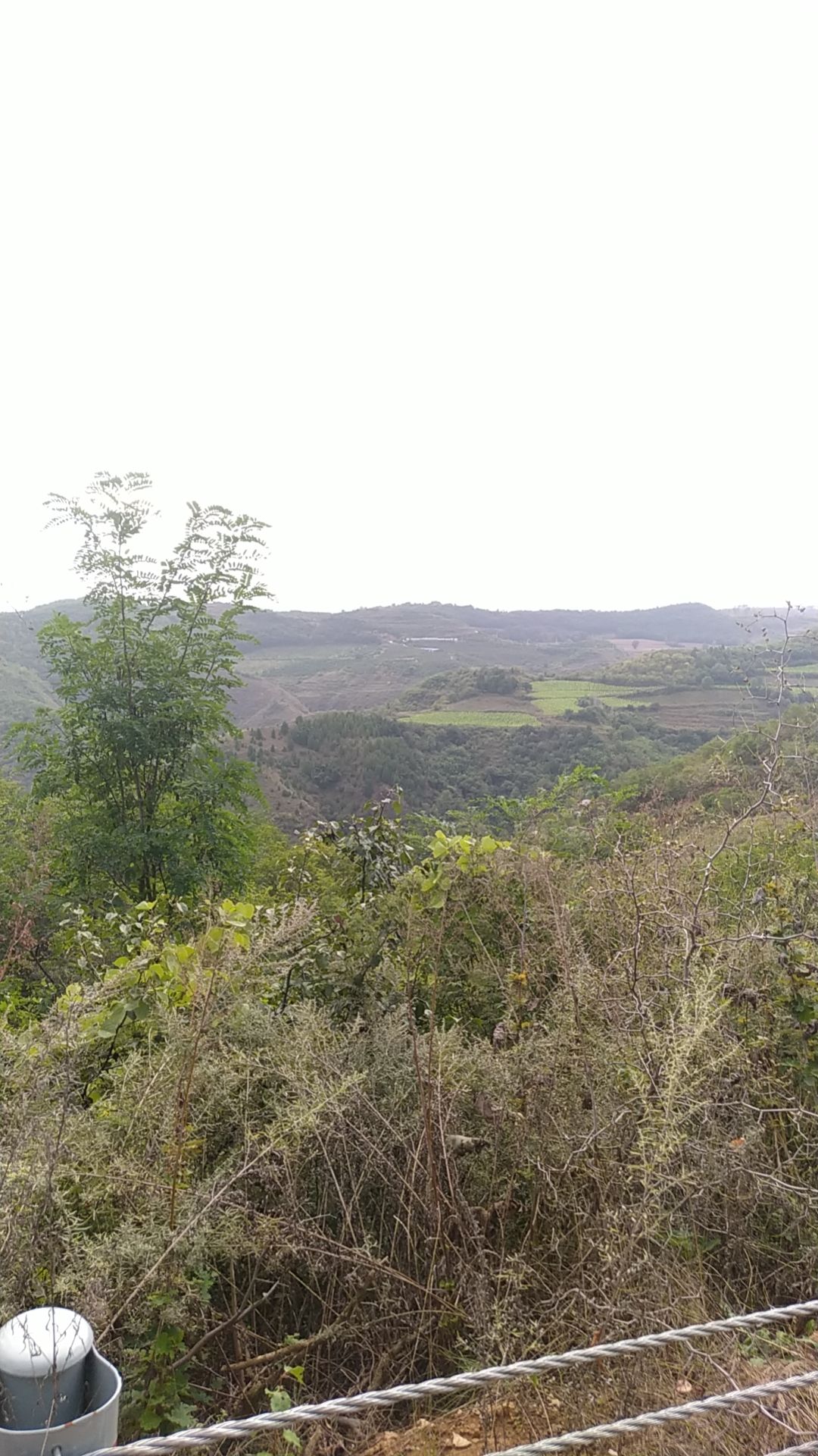 连宝河风景区旅行图片 3