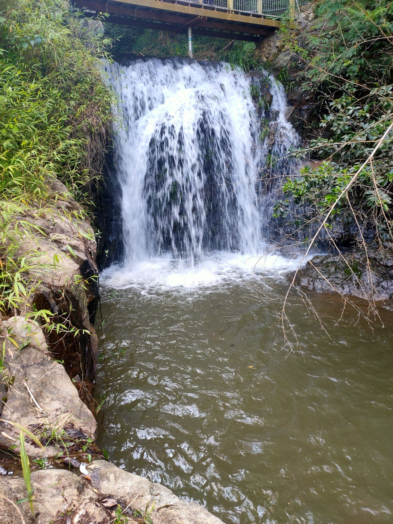 嶅山溪谷生态旅游区旅行图片 1