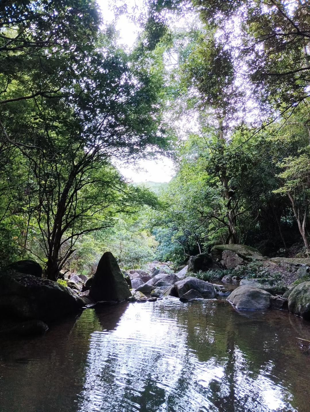 嶅山溪谷生态旅游区旅行图片 3