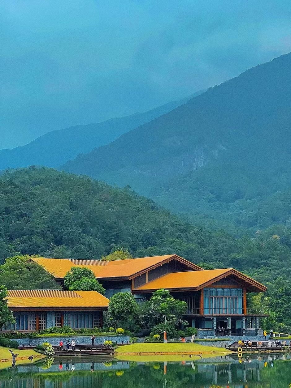 嶅山溪谷生态旅游区旅行图片 1