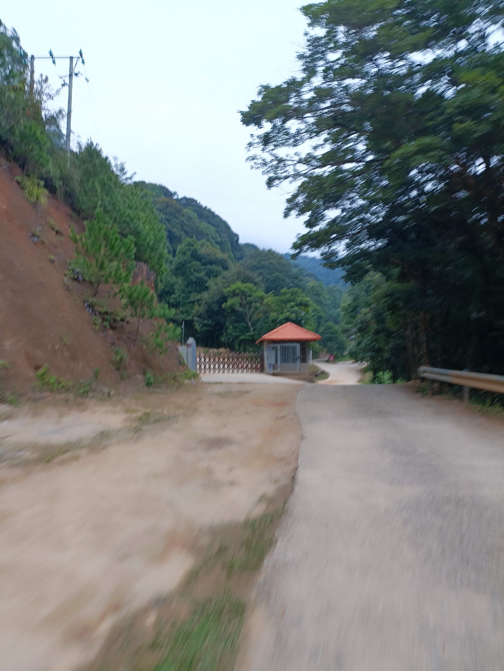 嶅山溪谷生态旅游区旅行图片 2