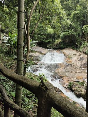 嶅山溪谷生态旅游区旅行图片 1