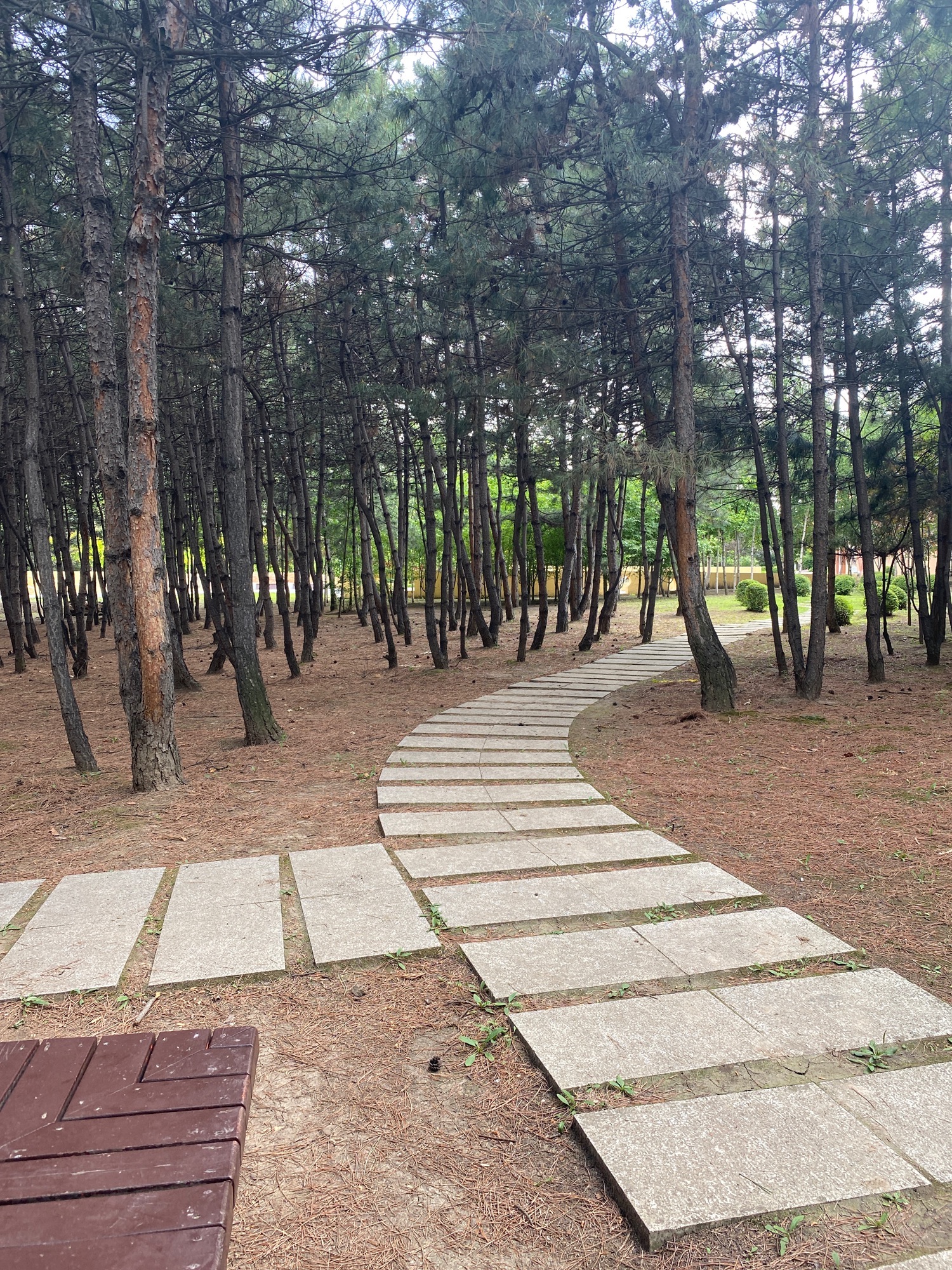 香林园旅行图片 3