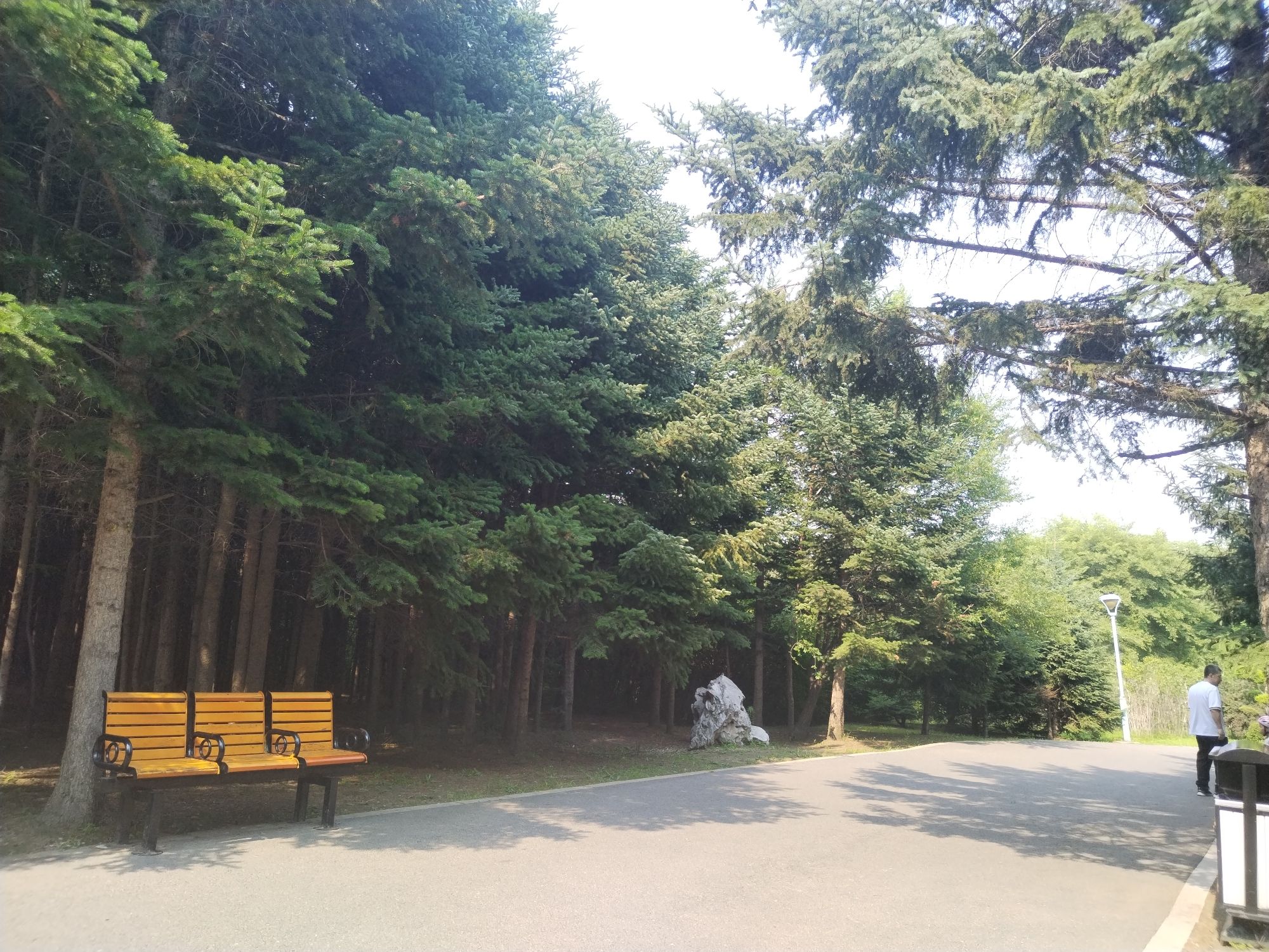 香林园旅行图片 3