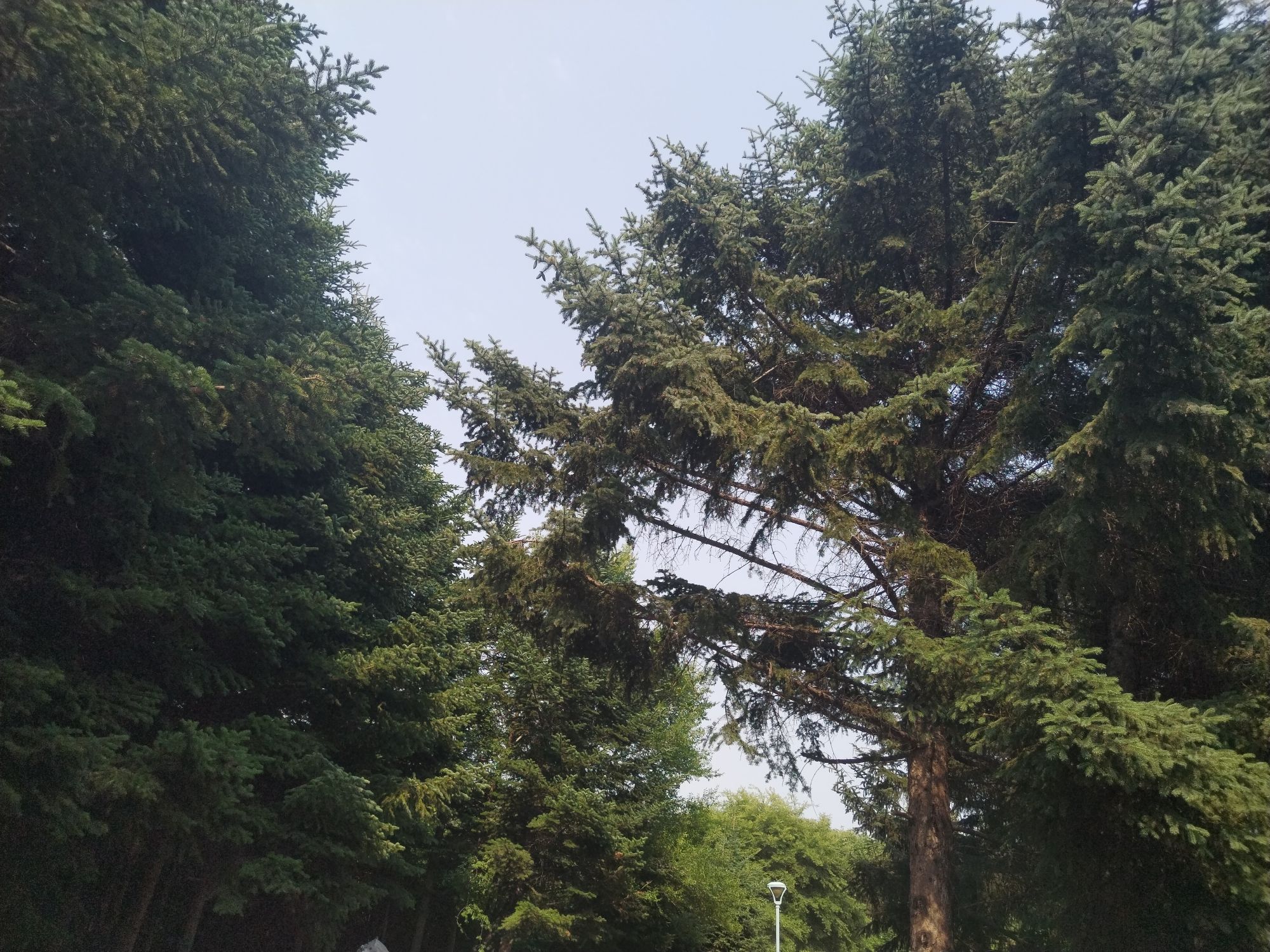 香林园旅行图片 2