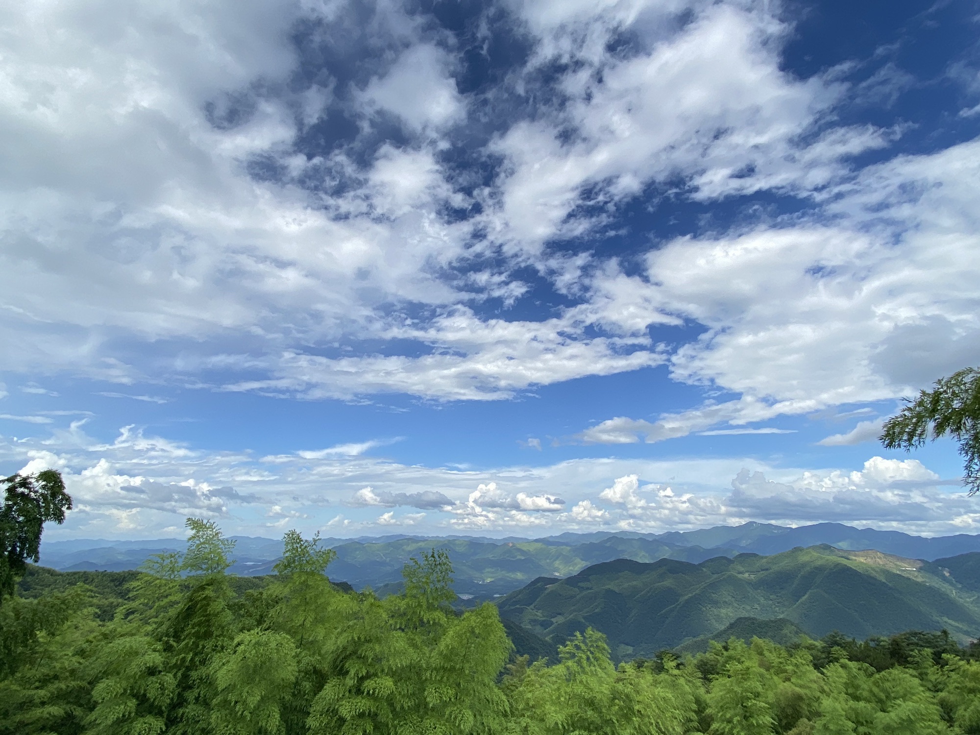晓居观景台旅行图片 3