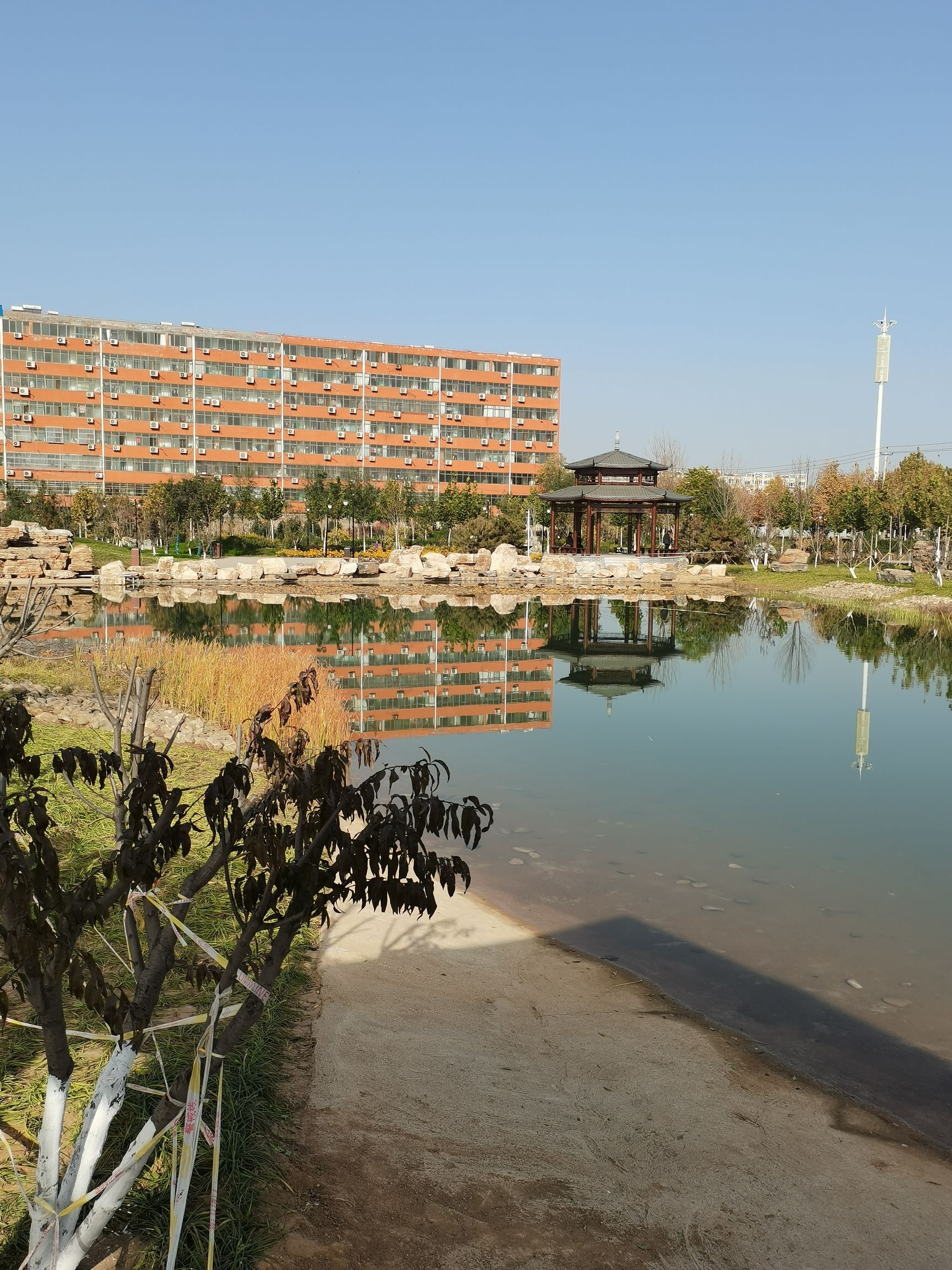 玉龙公园旅行图片 1