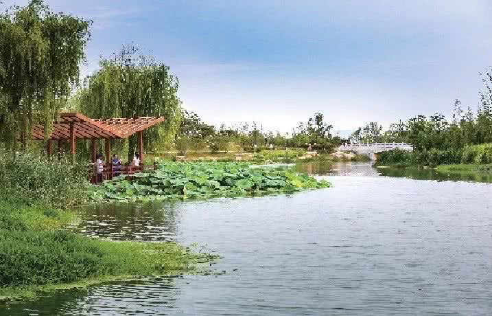 东湖碳谷湖公园旅行图片 3