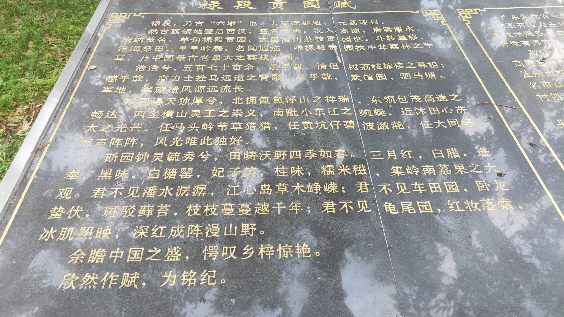 禄段贡园旅行图片 2