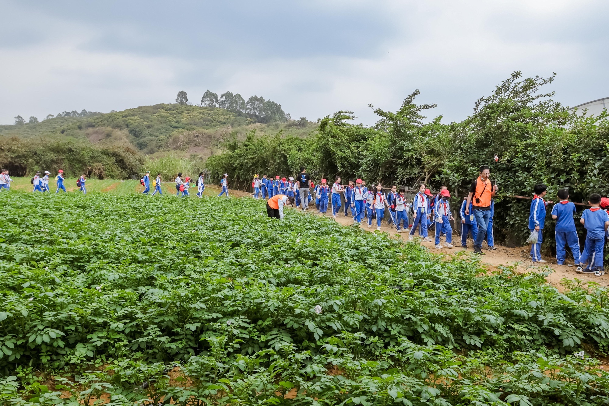 种菜吧.菜博士农场采摘园