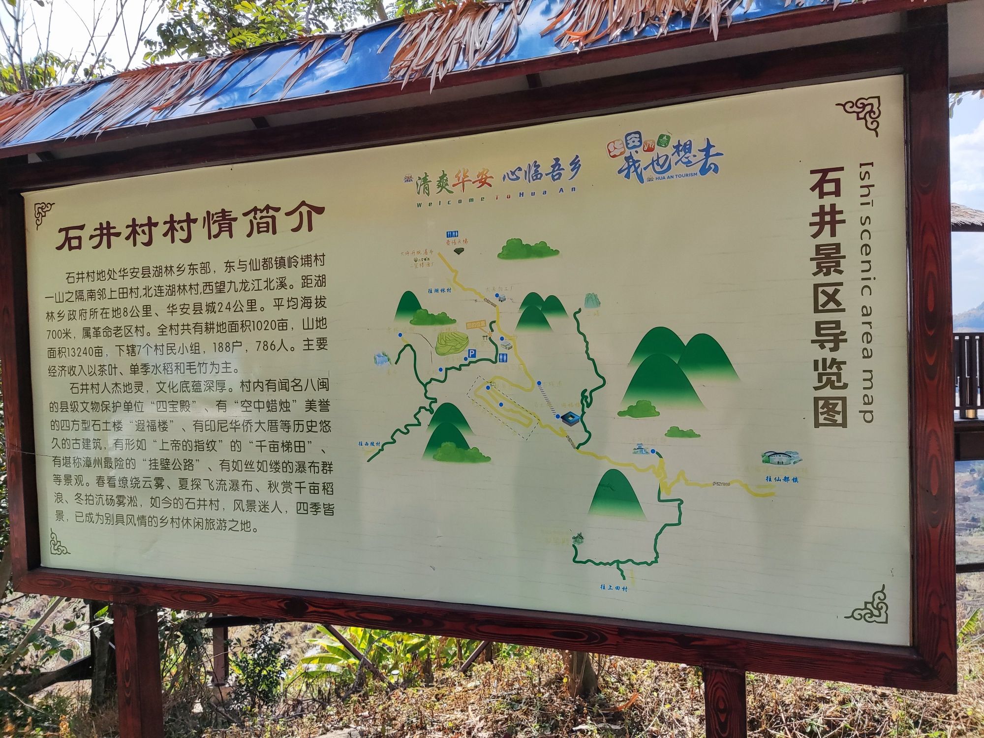 石井千亩梯田旅行图片 1