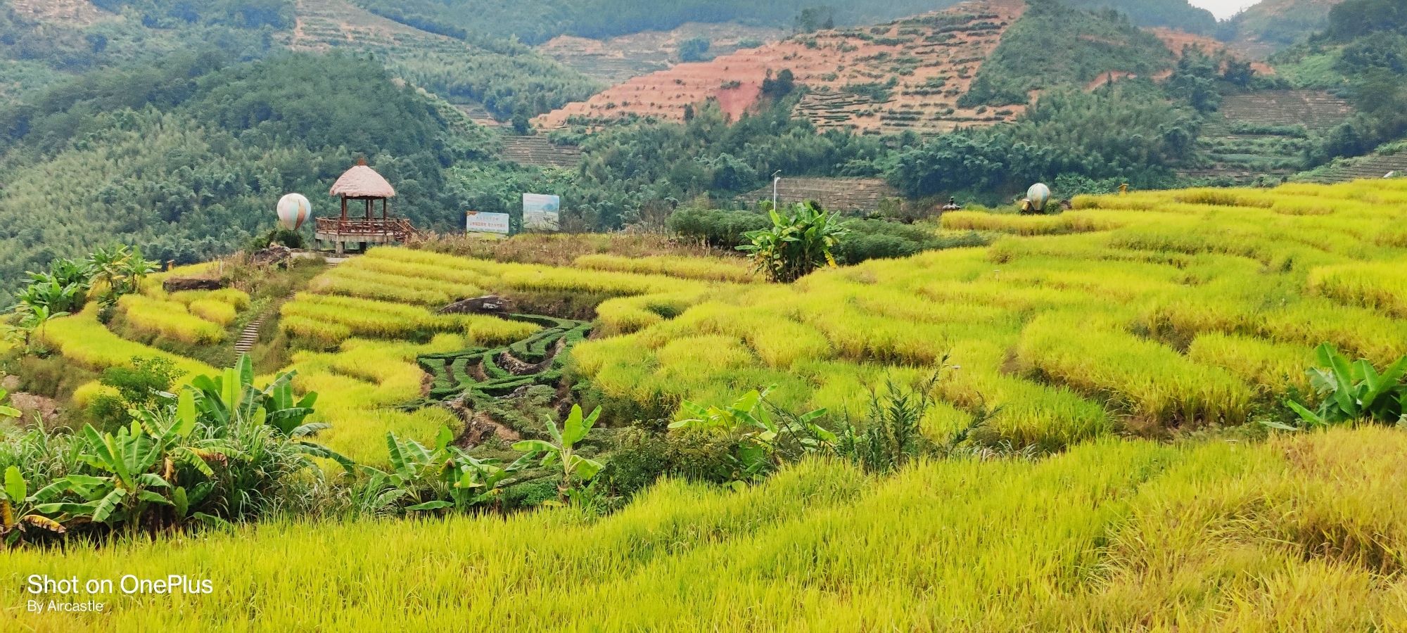 石井千亩梯田旅行图片 2