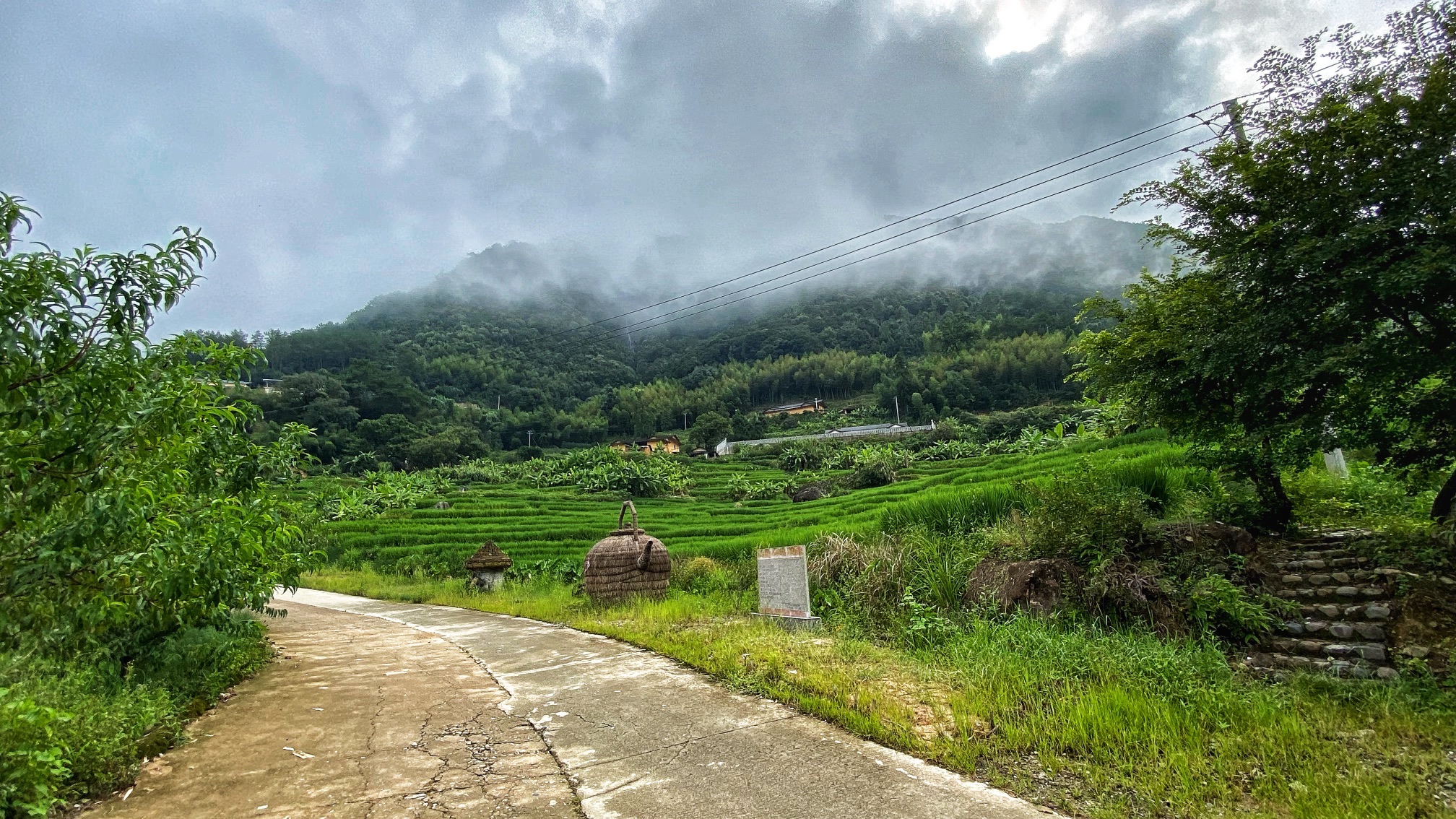 石井千亩梯田旅行图片 1